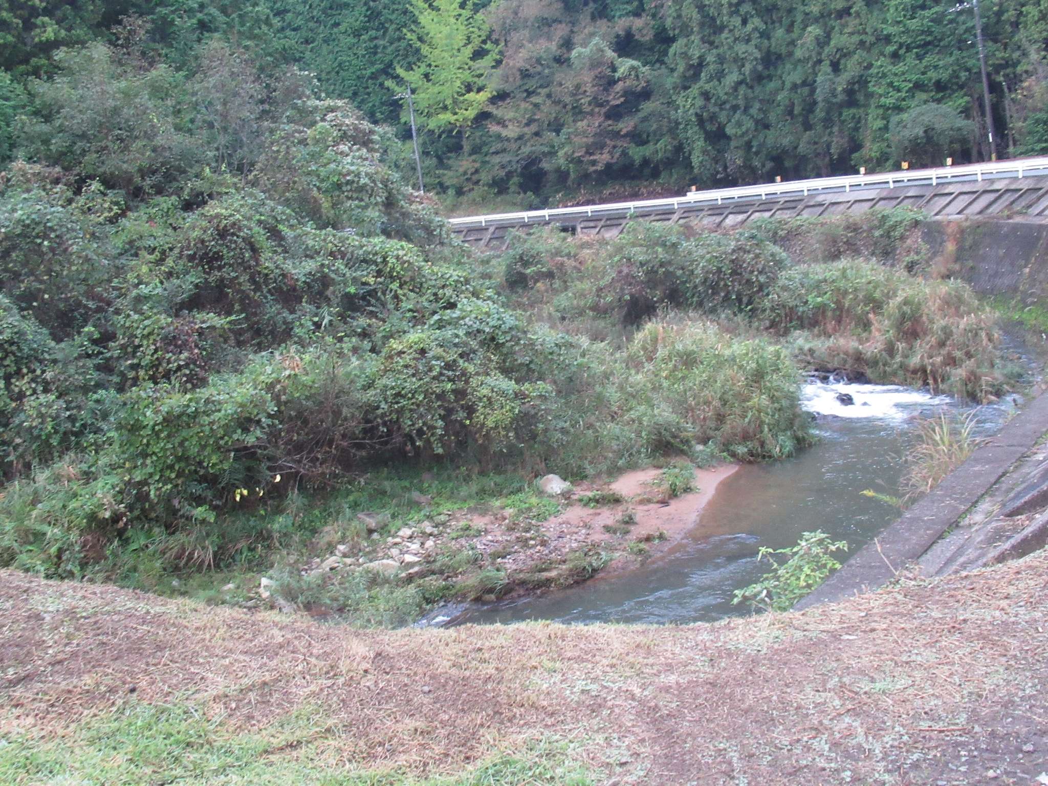 幻の今福線遺構・アーチ橋(浜田市)