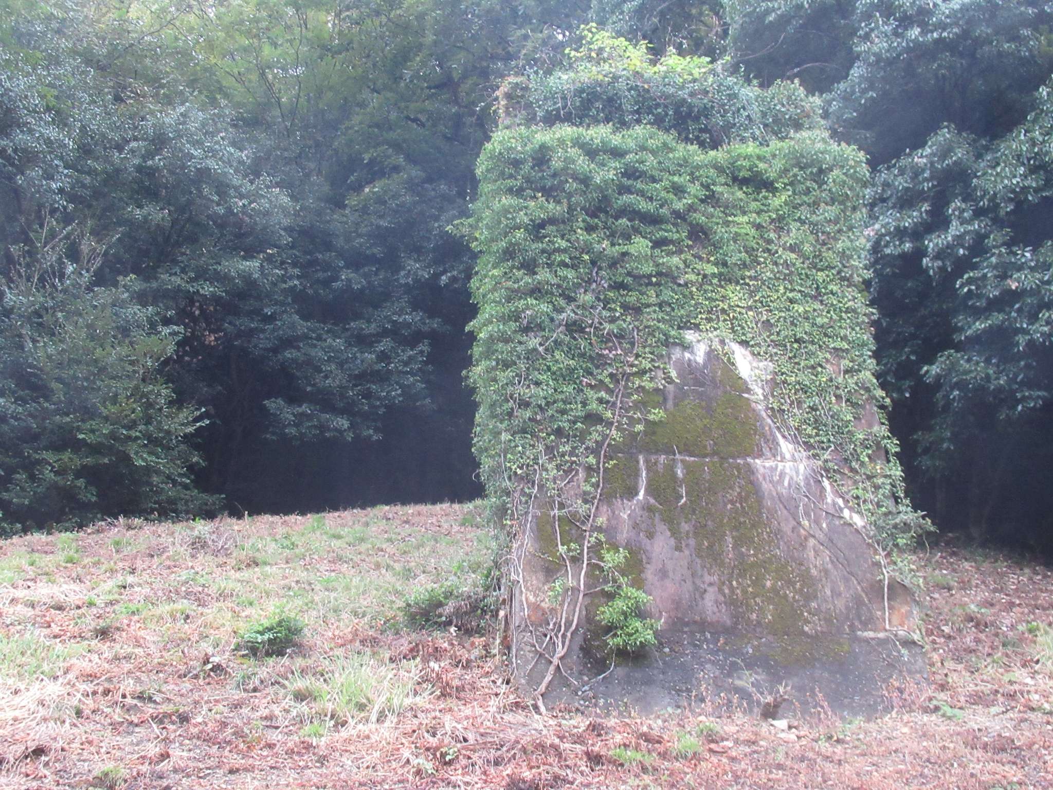 幻の今福線遺構・橋脚群(浜田市)