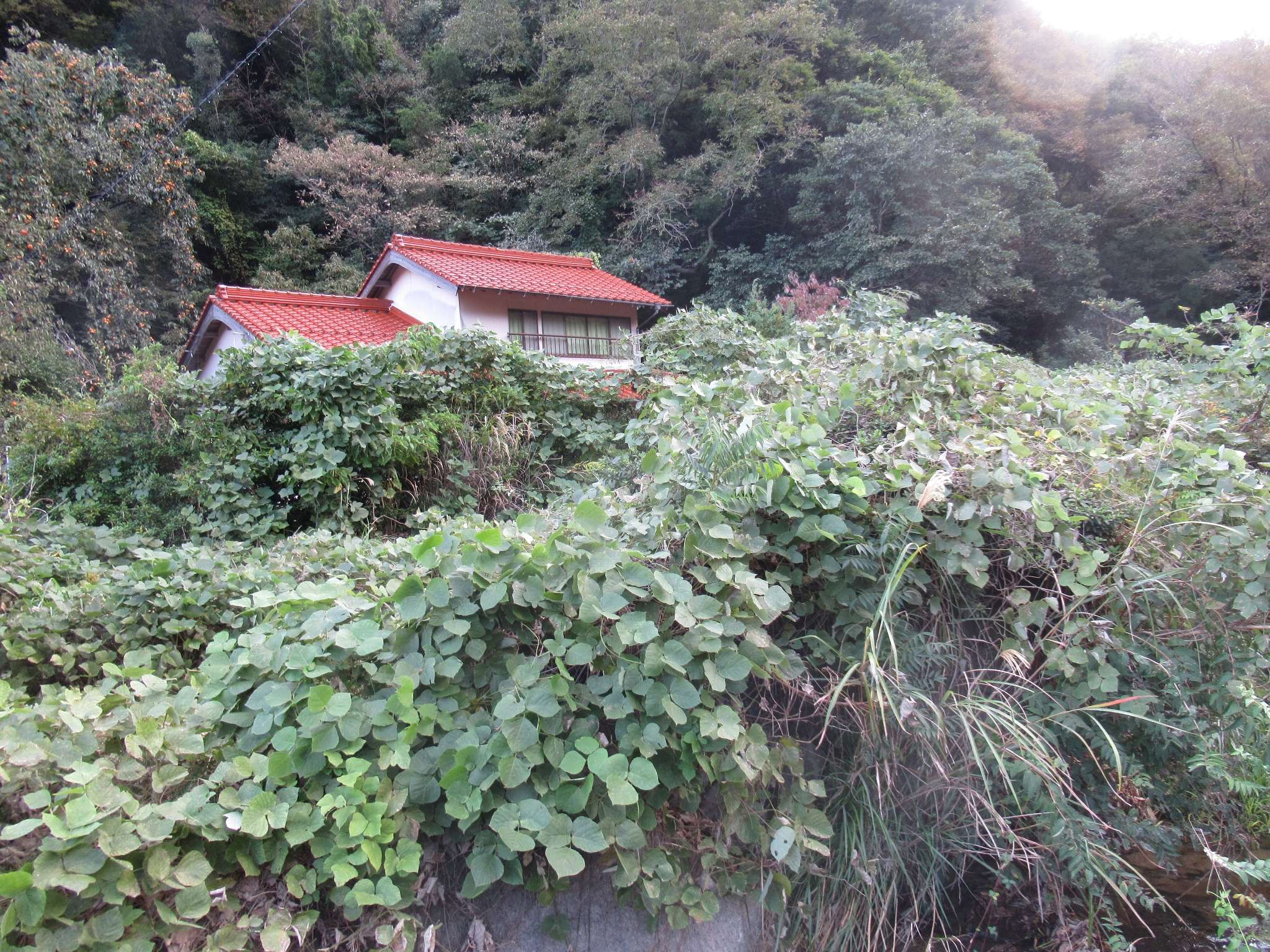 千金駅跡(江津市)