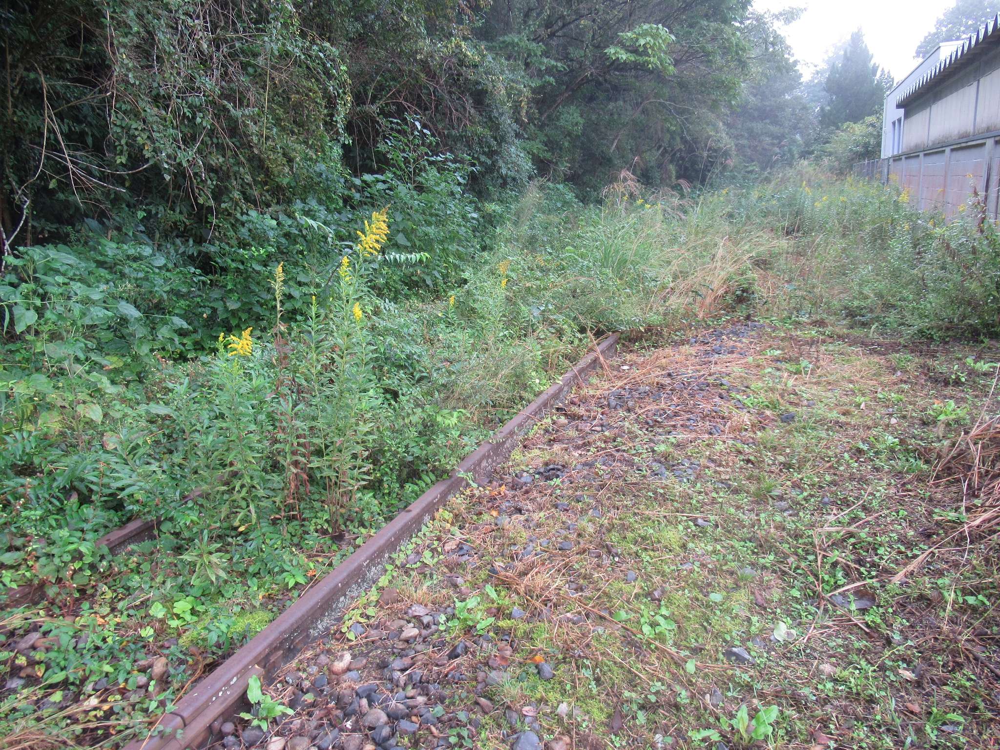 田津駅跡(江津市)