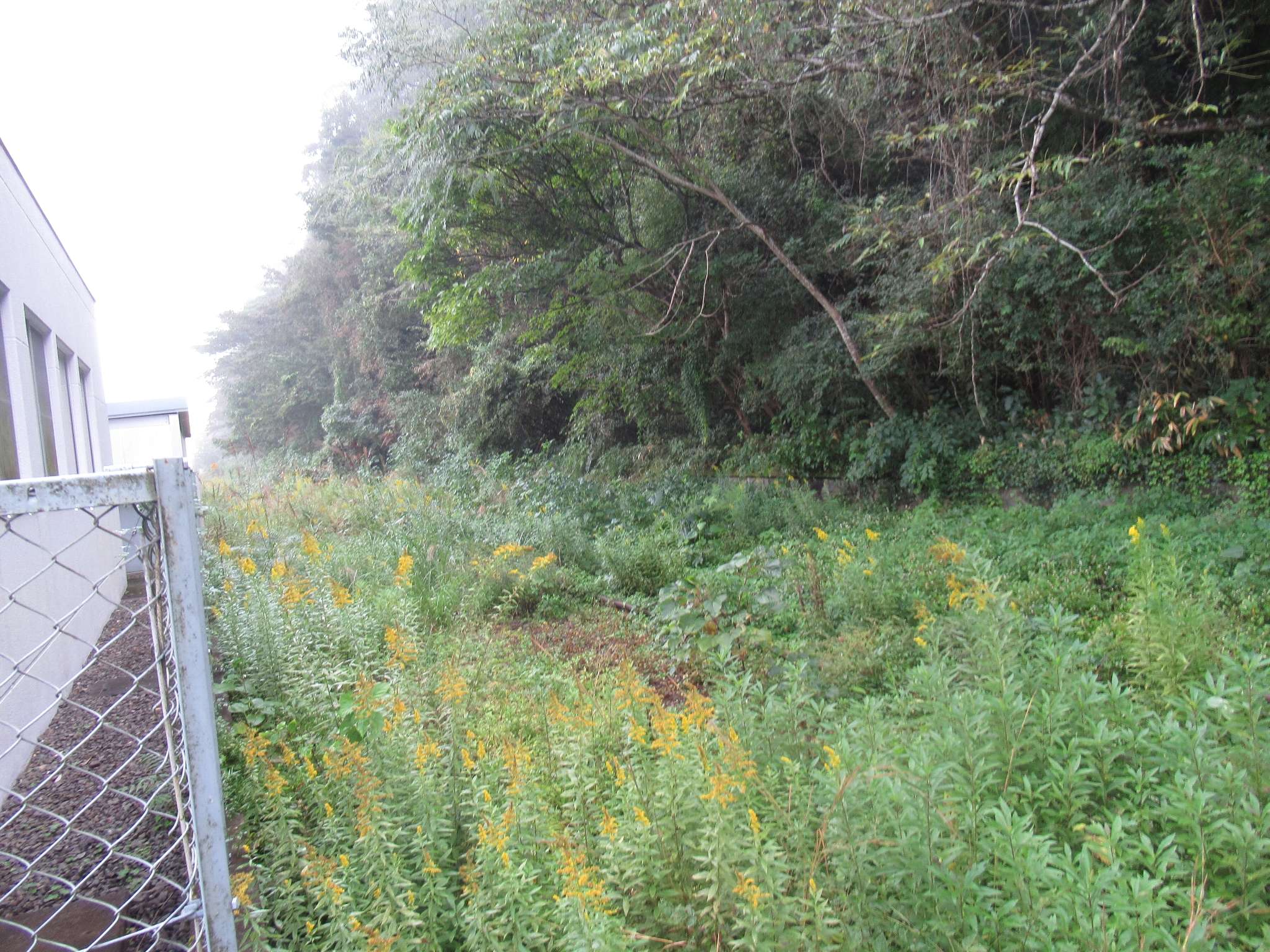 石見川越駅跡(江津市)