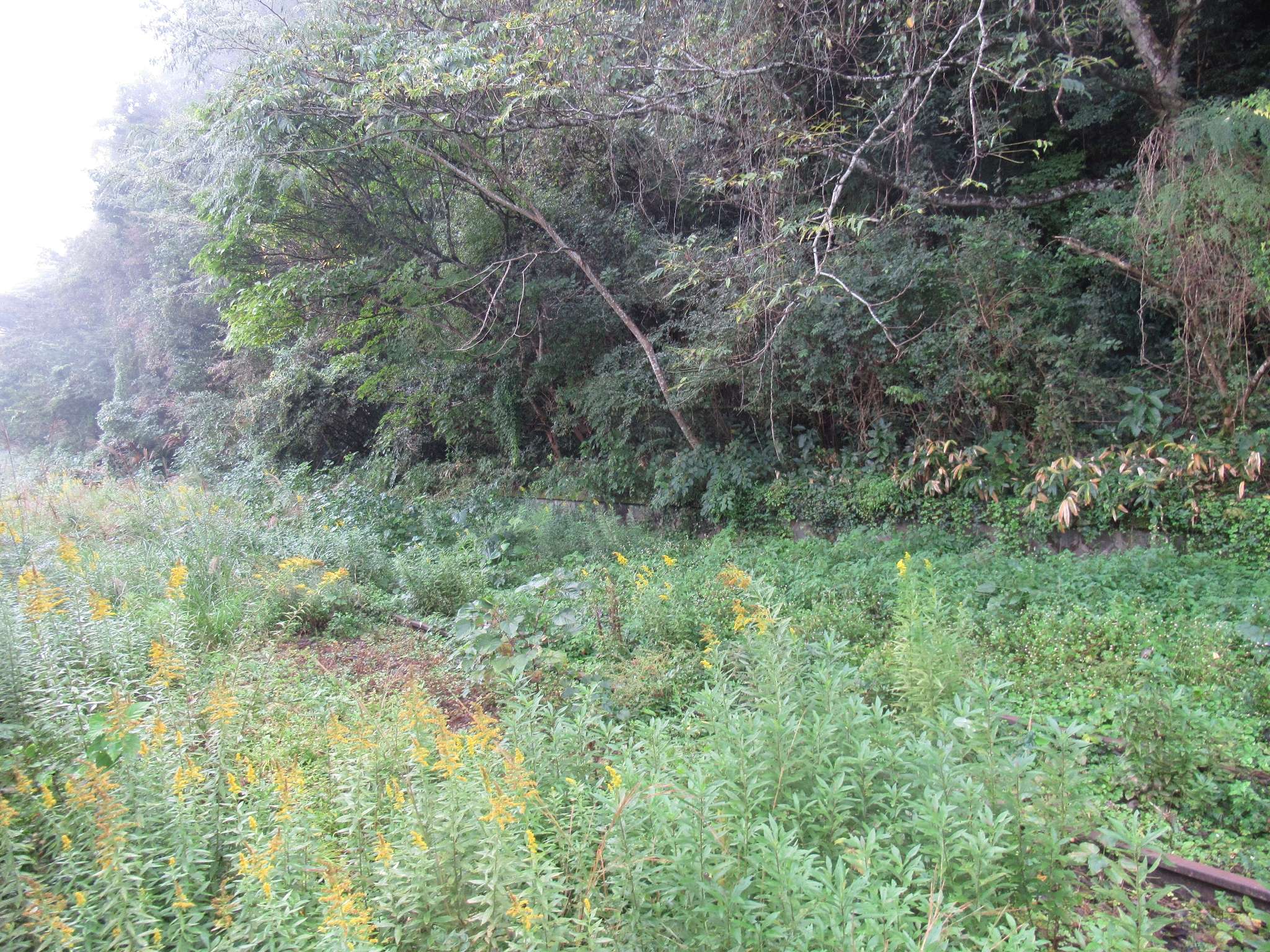 石見川越駅跡(江津市)