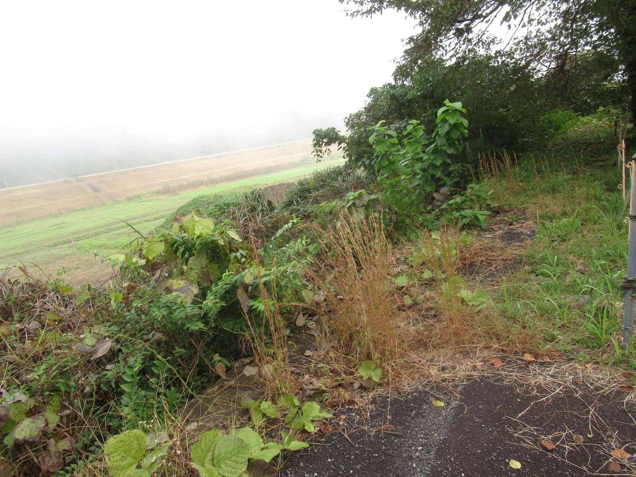 鹿賀駅跡(江津市)