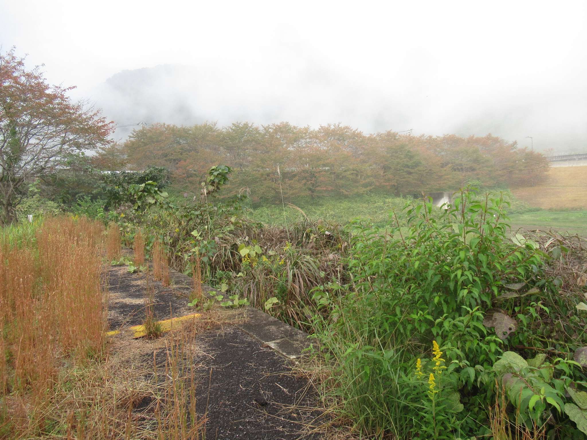 鹿賀駅跡(江津市)