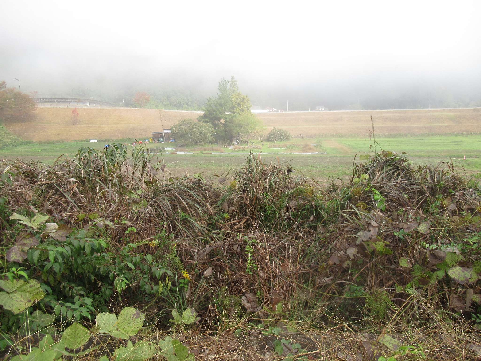 鹿賀駅跡(江津市)
