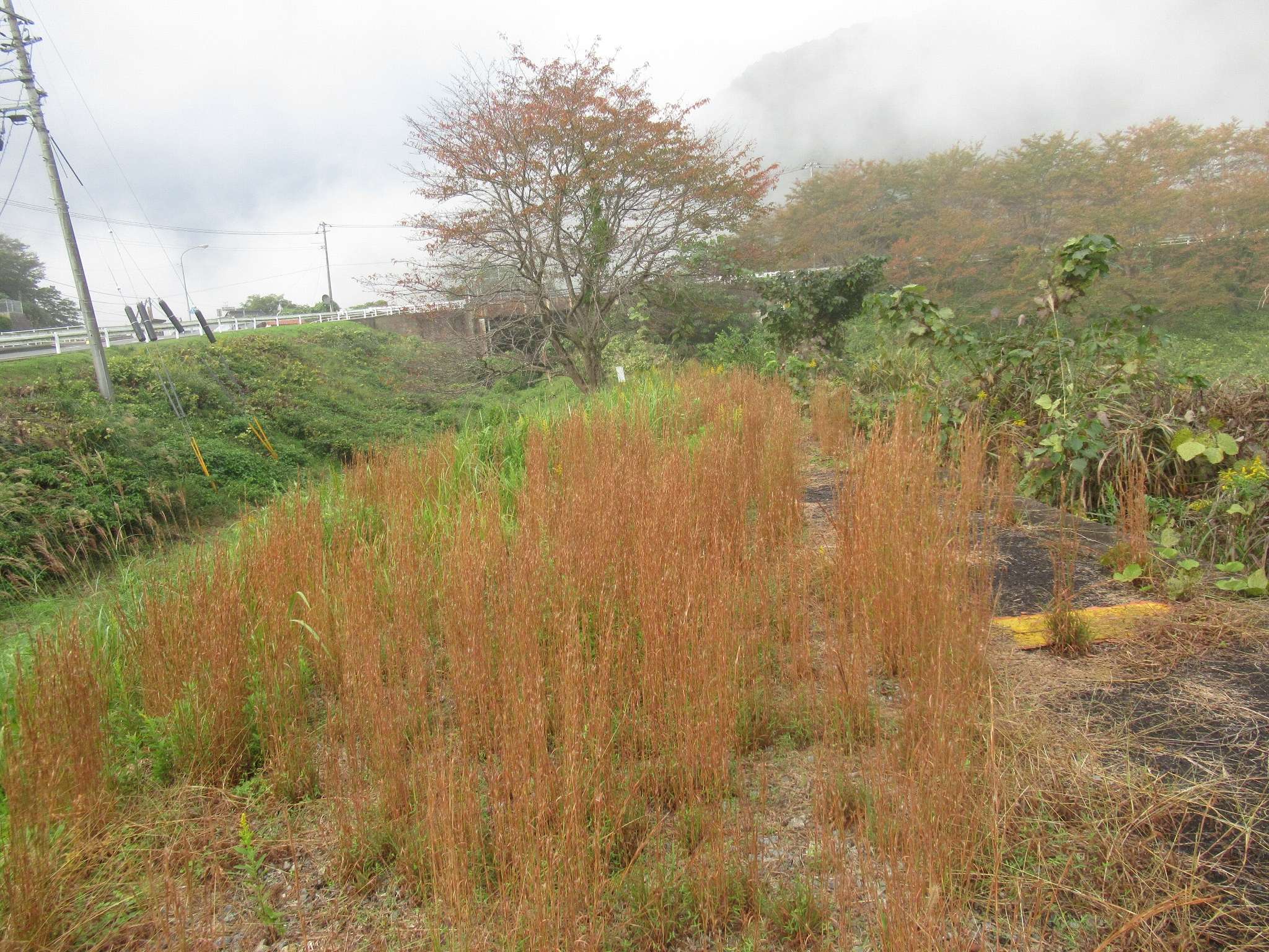 鹿賀駅跡(江津市)
