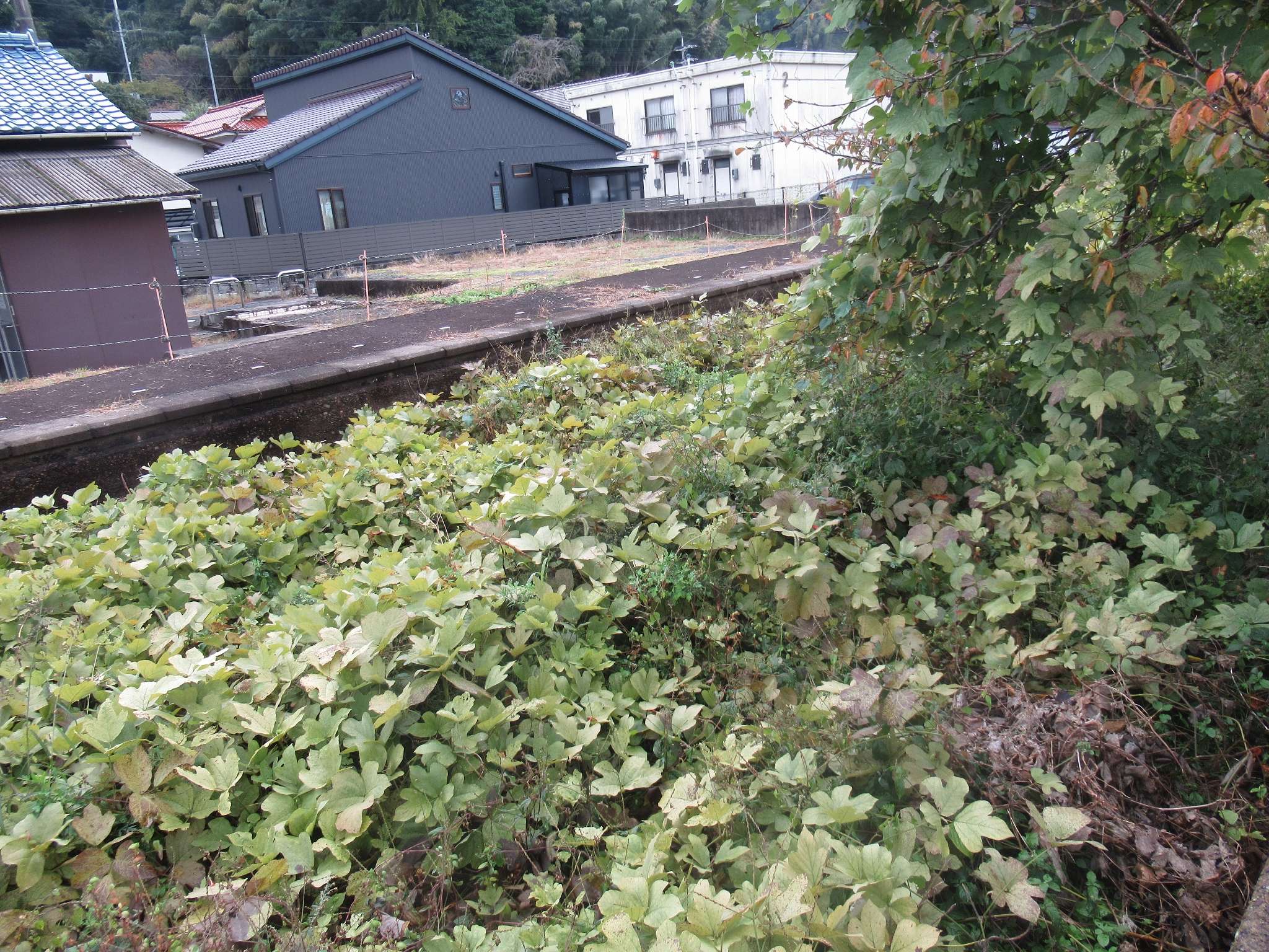 道の駅かわもと・因原駅跡(川本町)
