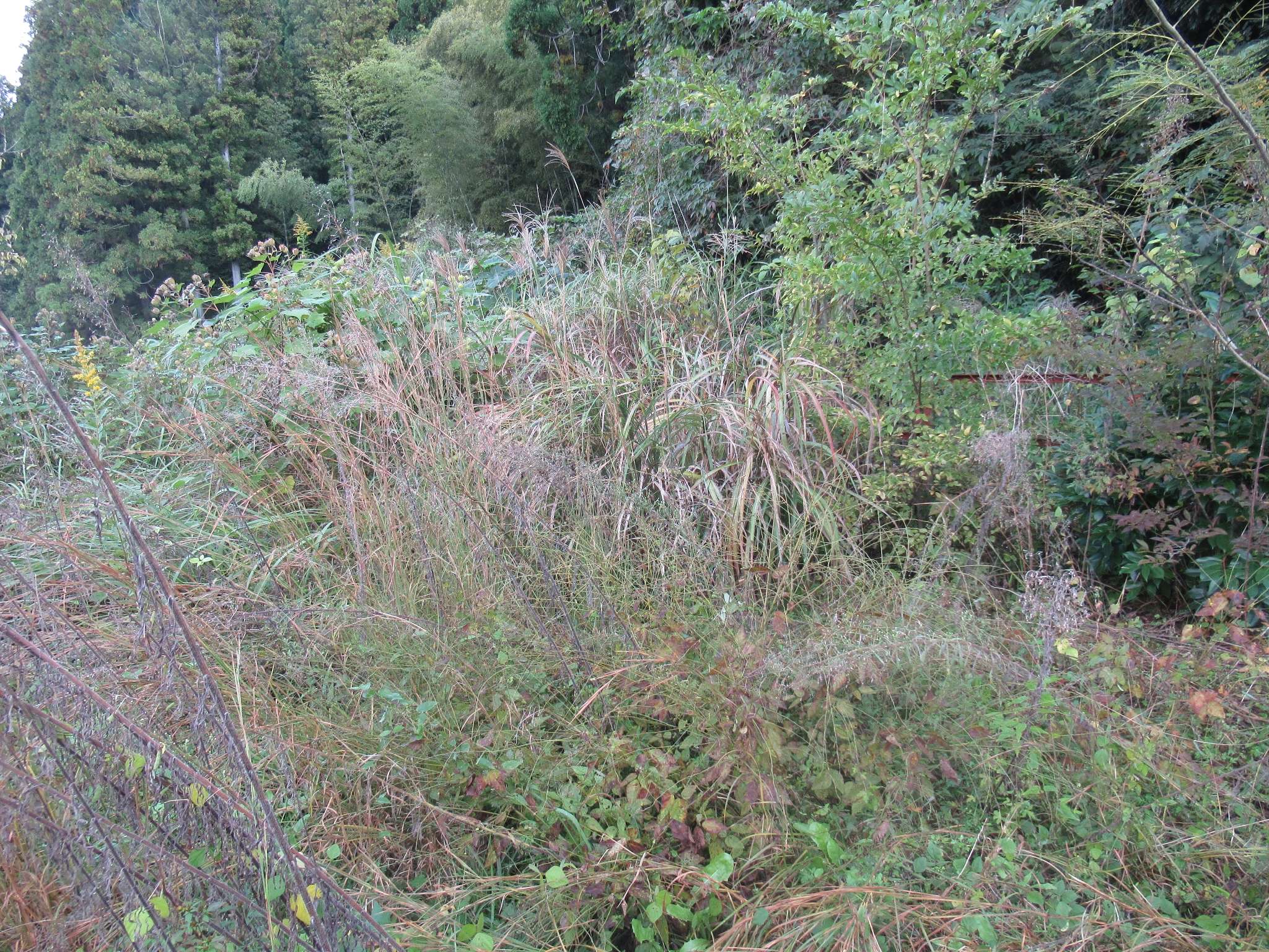 木路原駅跡(川本町)