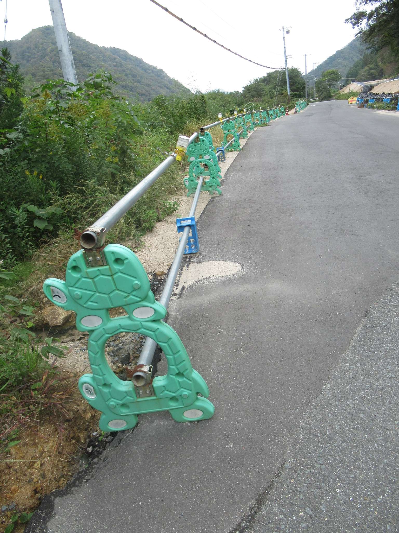 ツートン親子カメ串w@竹駅跡