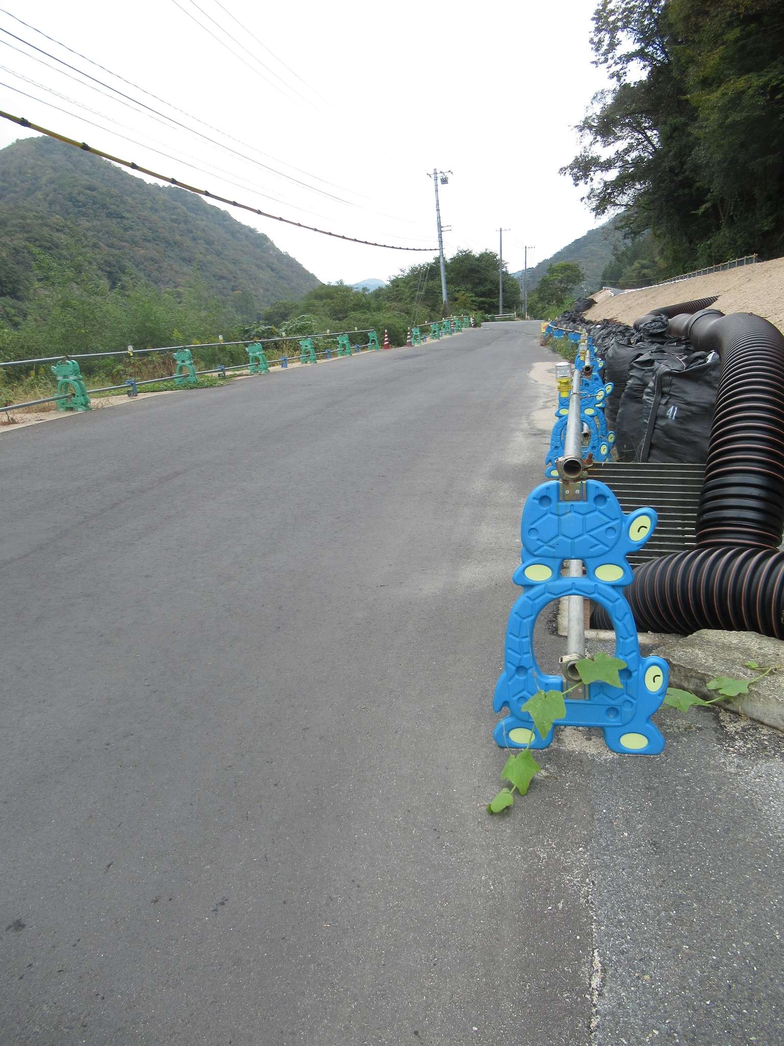 ツートン親子カメ串w@竹駅跡