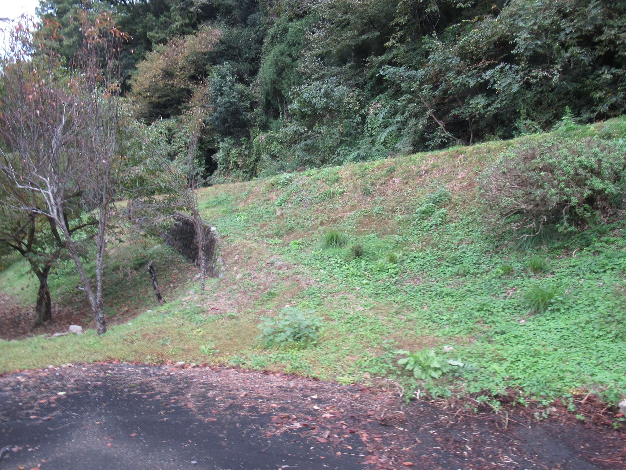 乙原駅跡(美郷町)