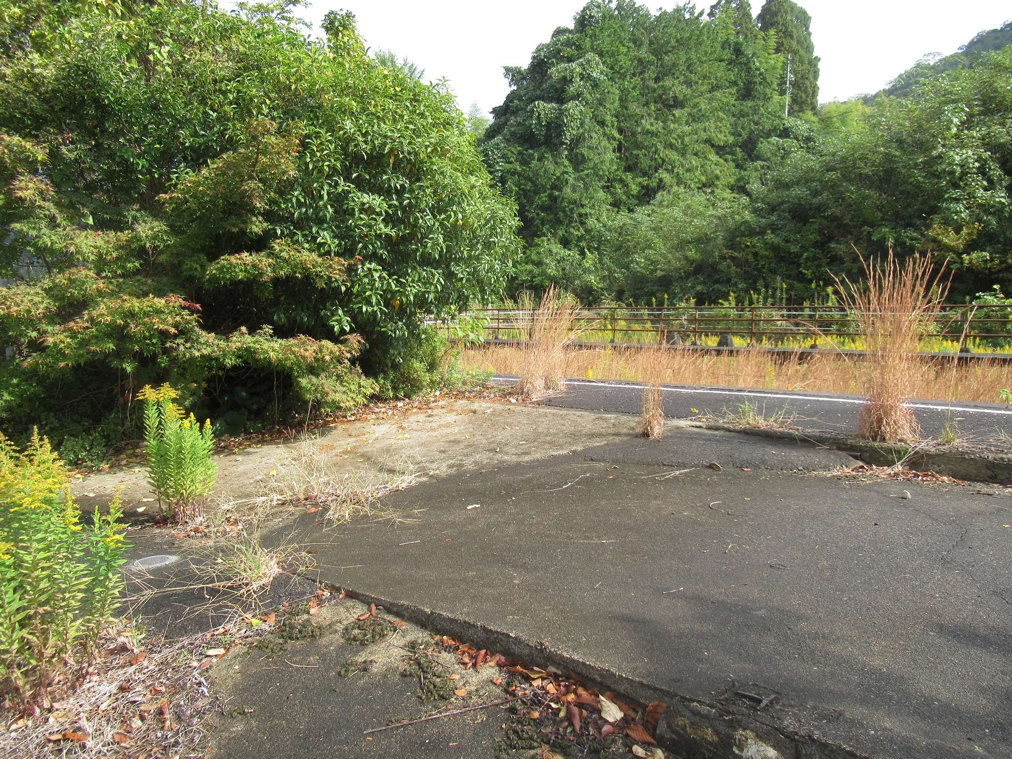 浜原駅跡(美郷町)