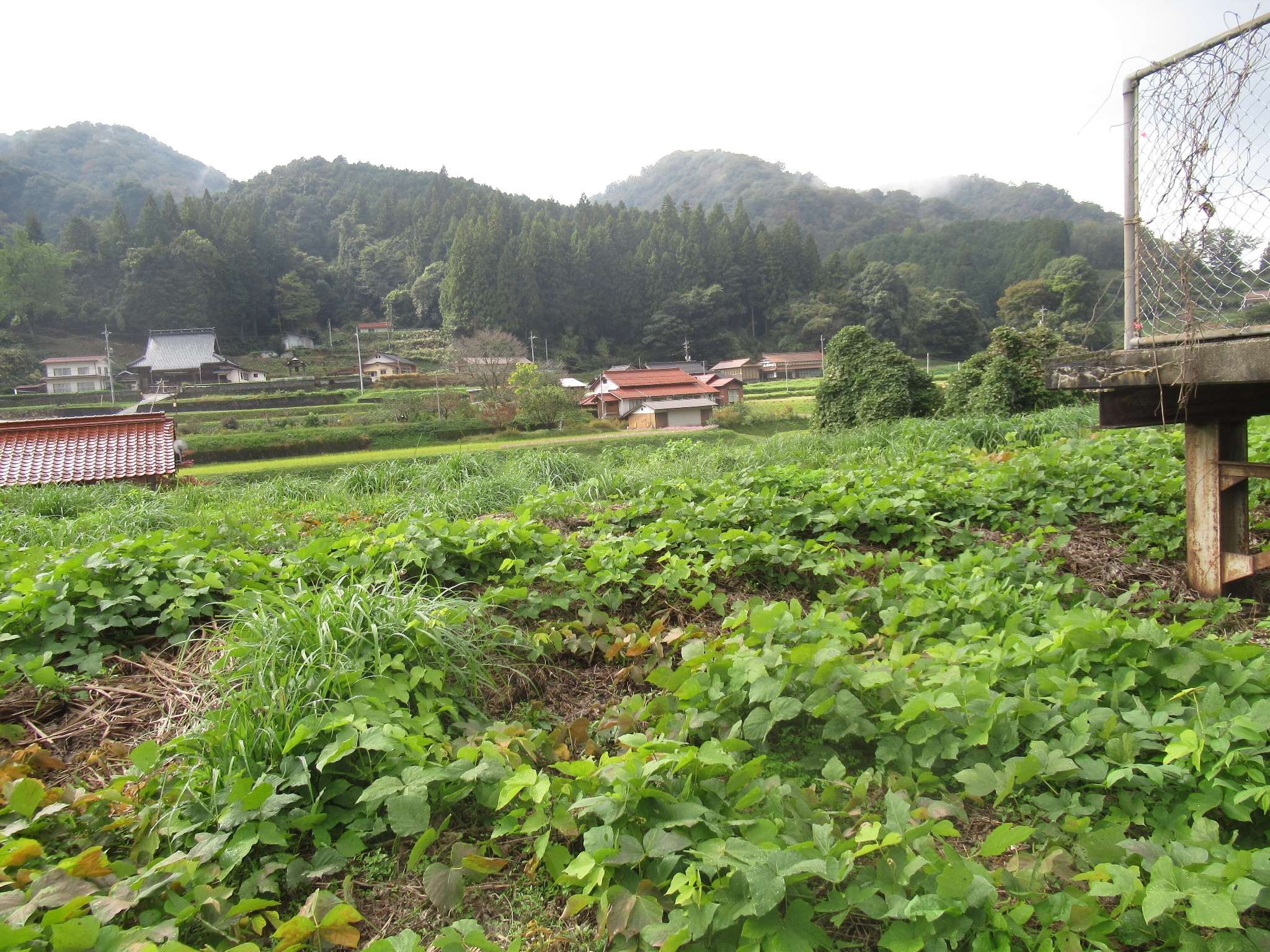 沢谷駅跡(美郷町)