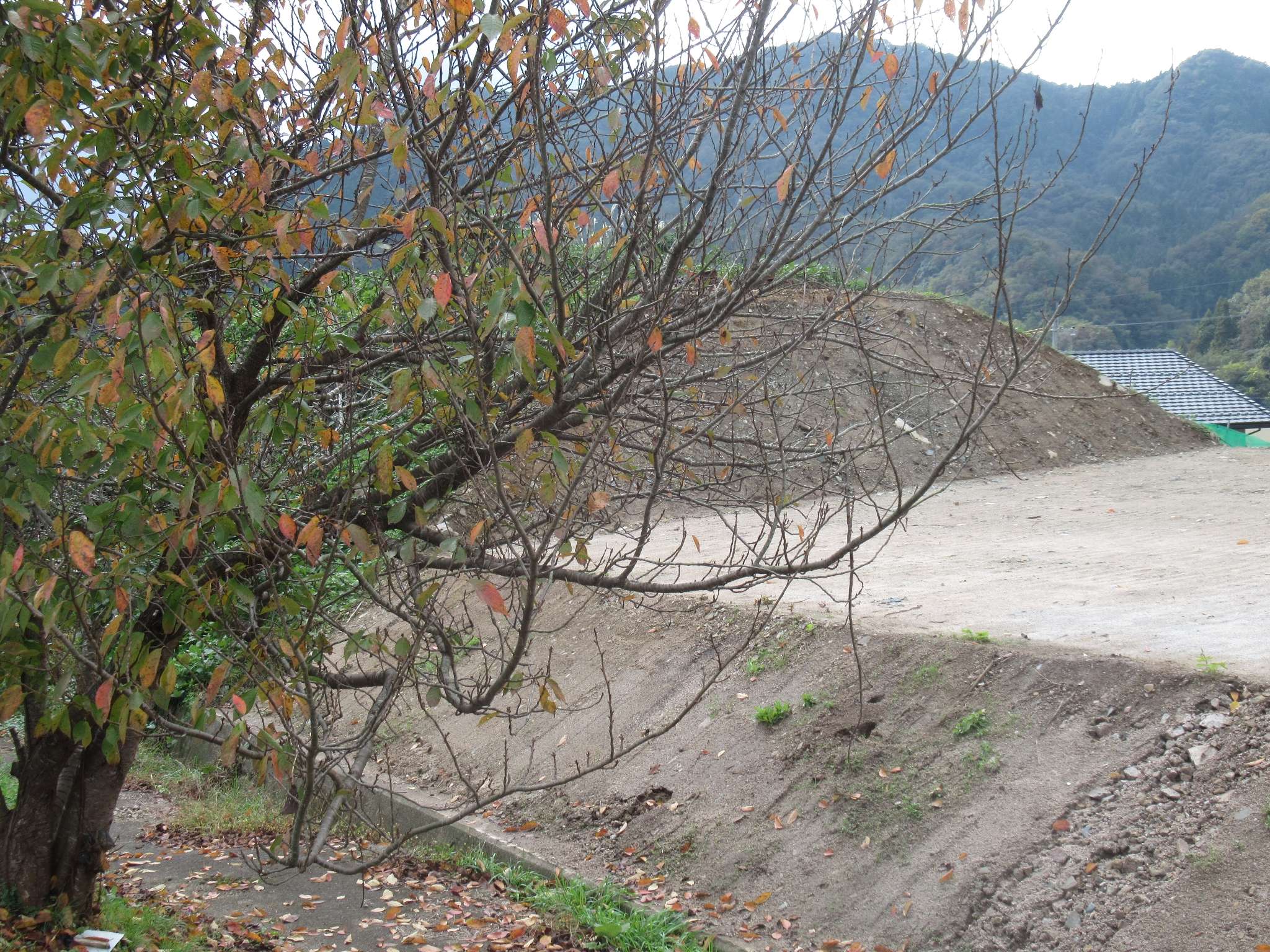 石見都賀駅跡(美郷町)