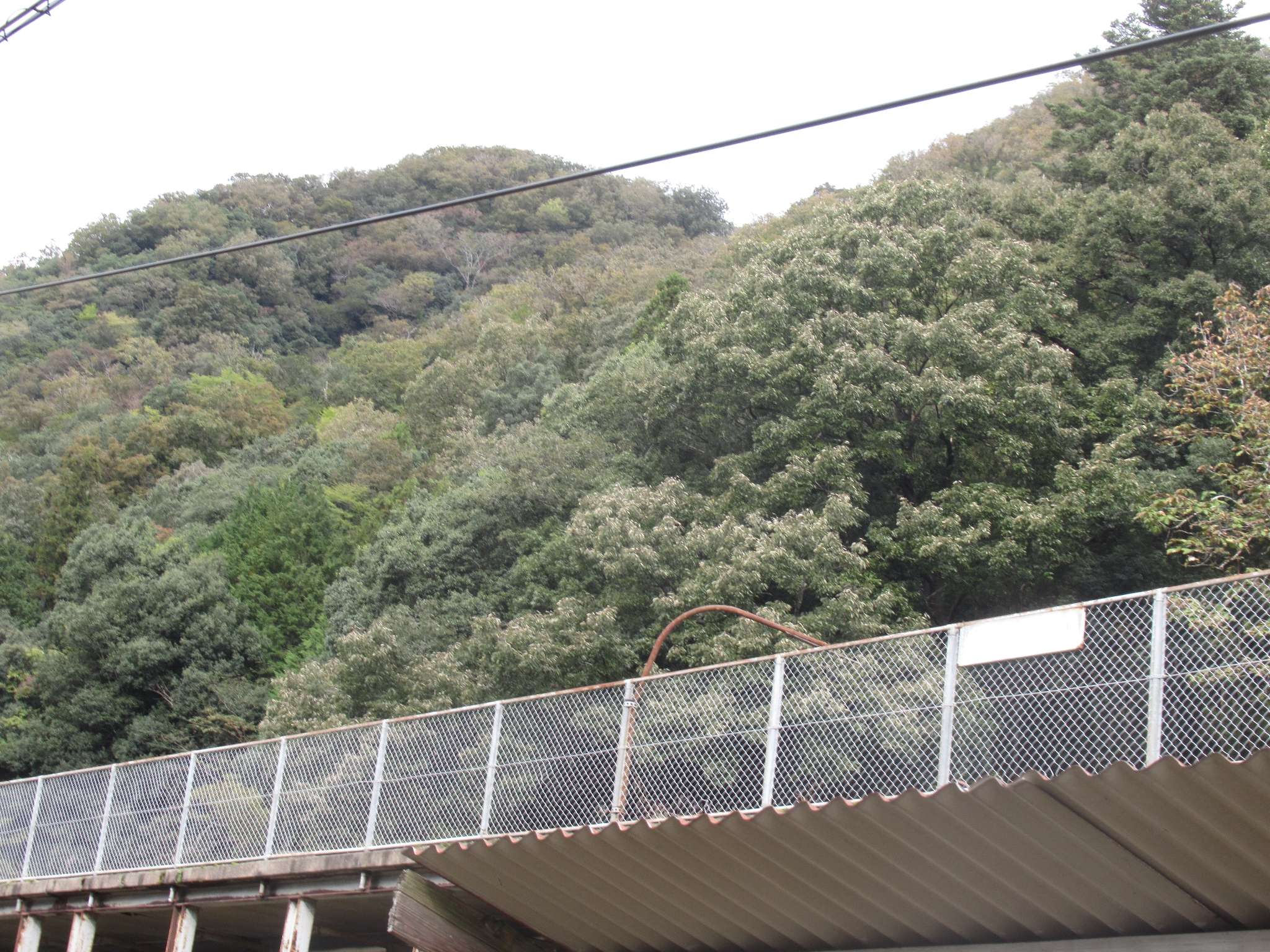 伊賀和志駅跡(三次市)