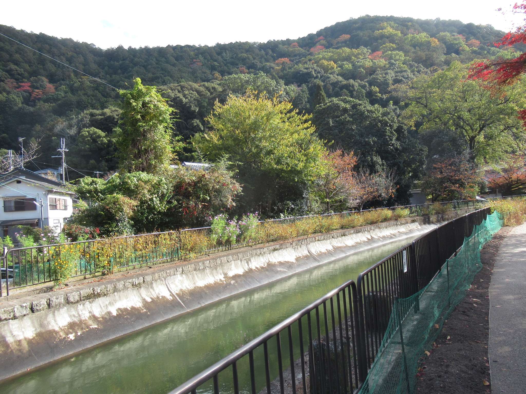 安朱橋@第一疏水