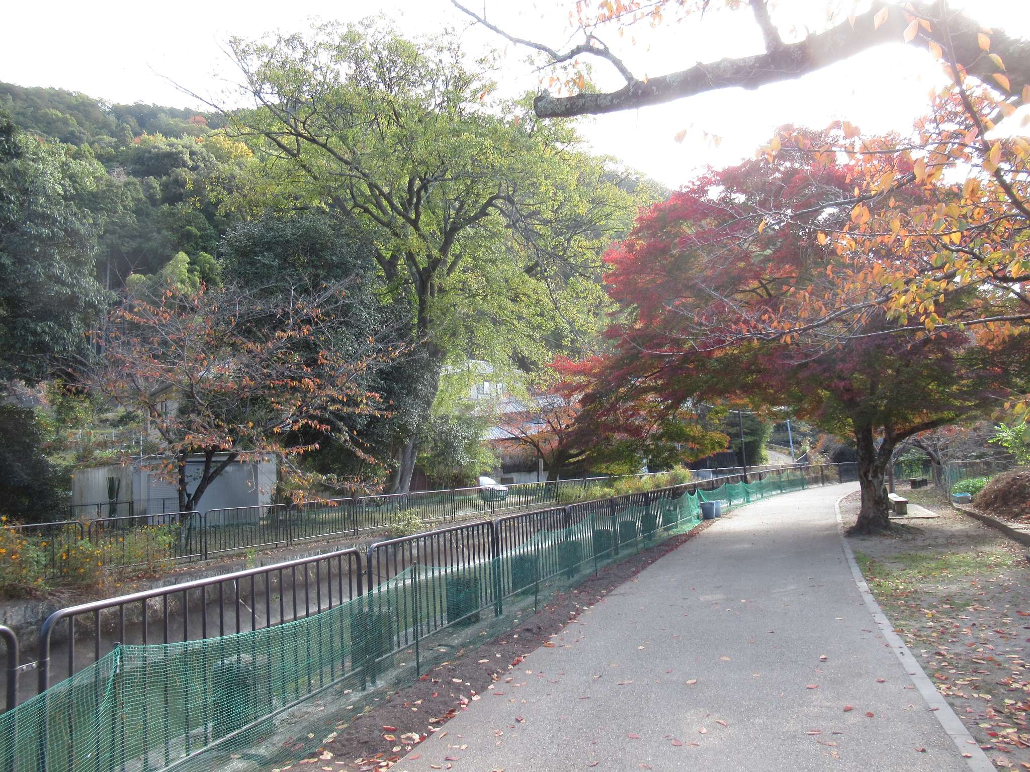 安朱橋@第一疏水