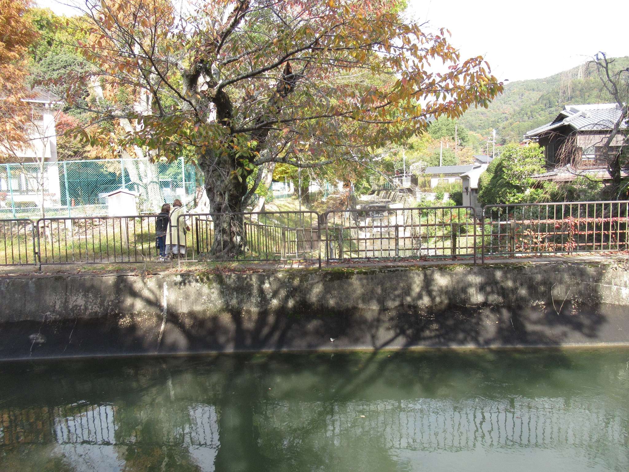 安祥寺水路閣@第一疏水