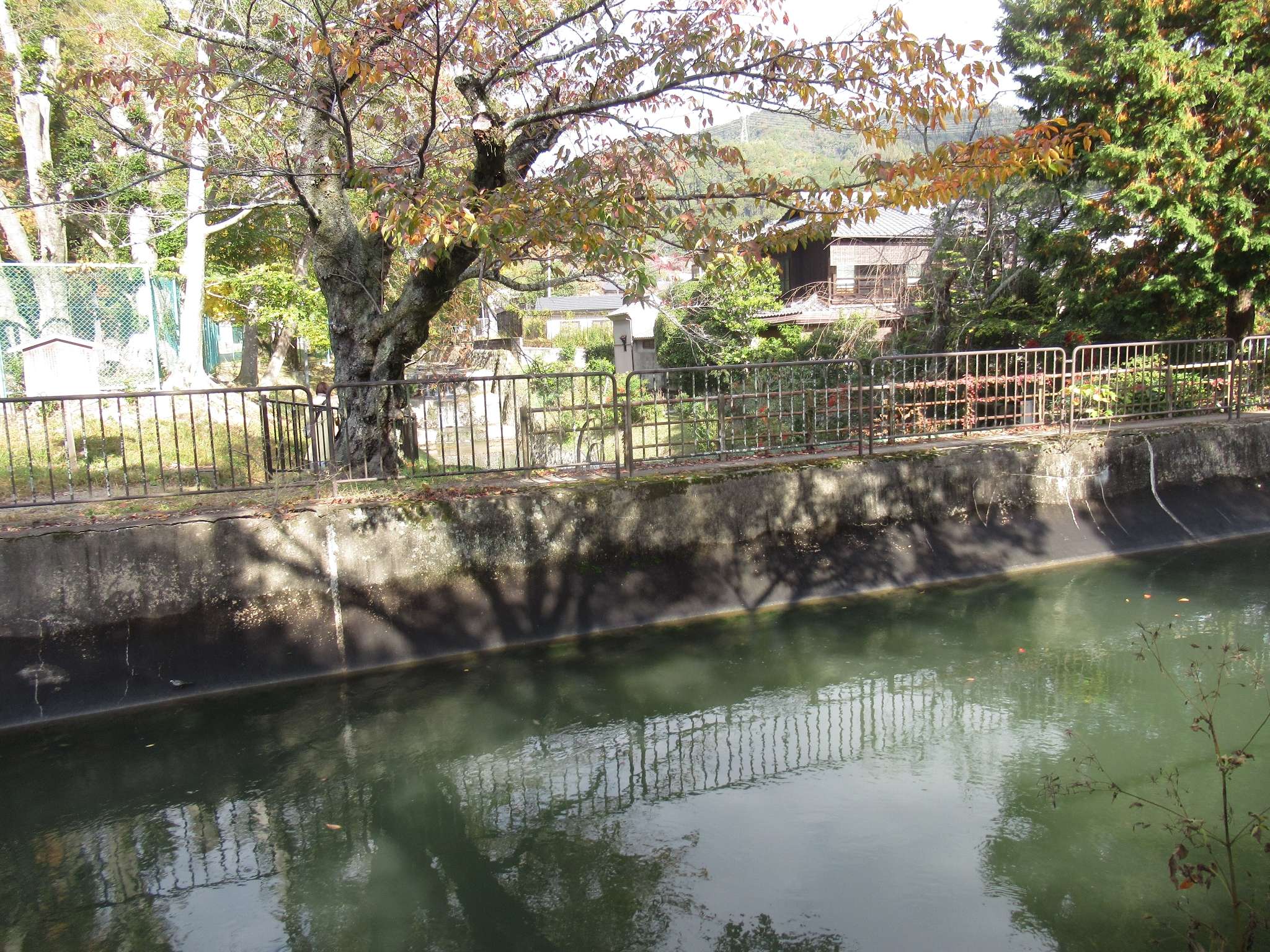 安祥寺水路閣@第一疏水