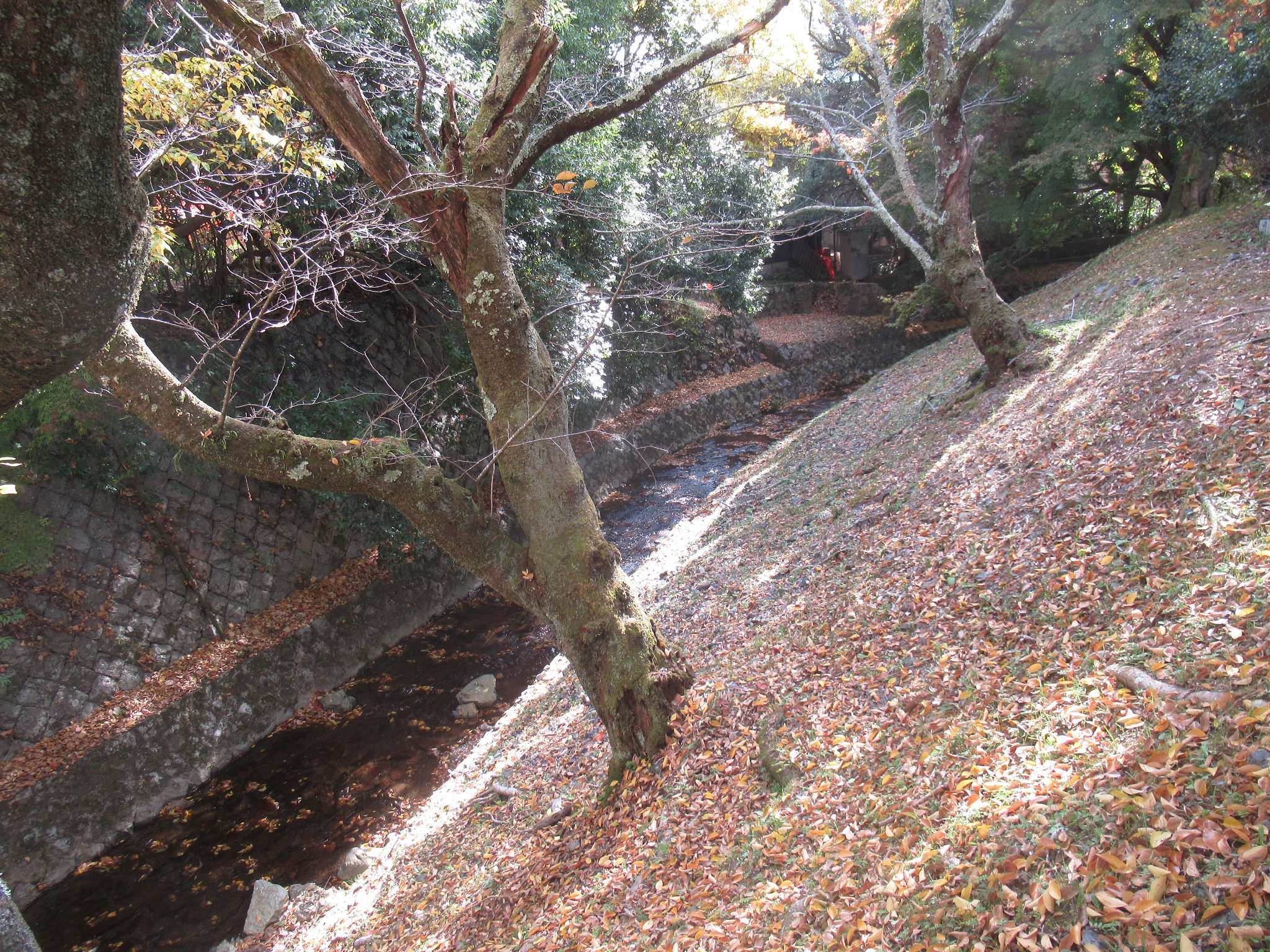 安祥寺水路閣@第一疏水