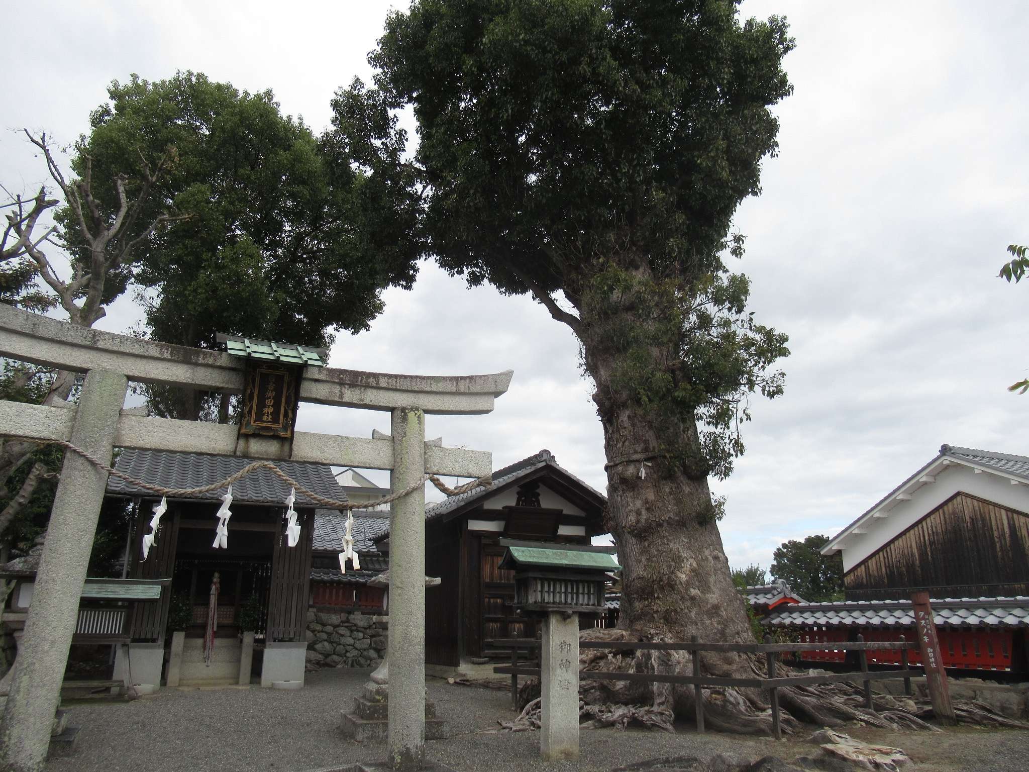日吉御田神社(大津市)