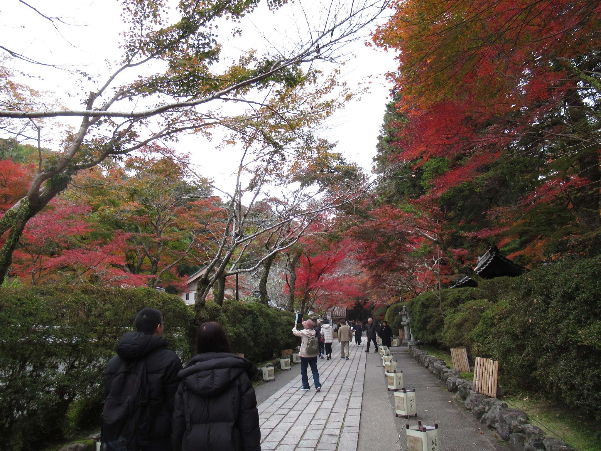法輪院、拾翠園＆公風園@石山寺