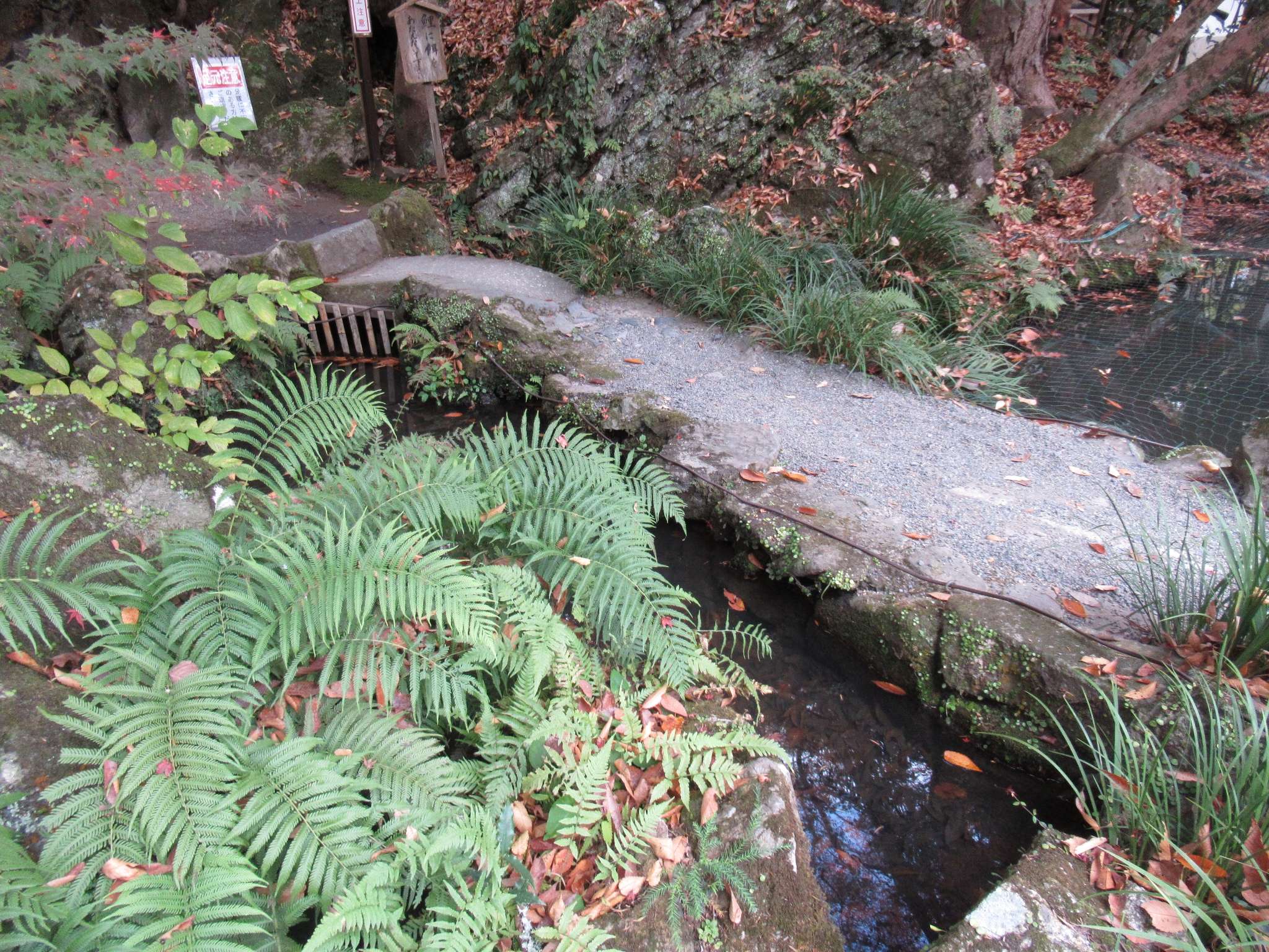 手水舎、くぐり岩＆閼伽井屋@石山寺