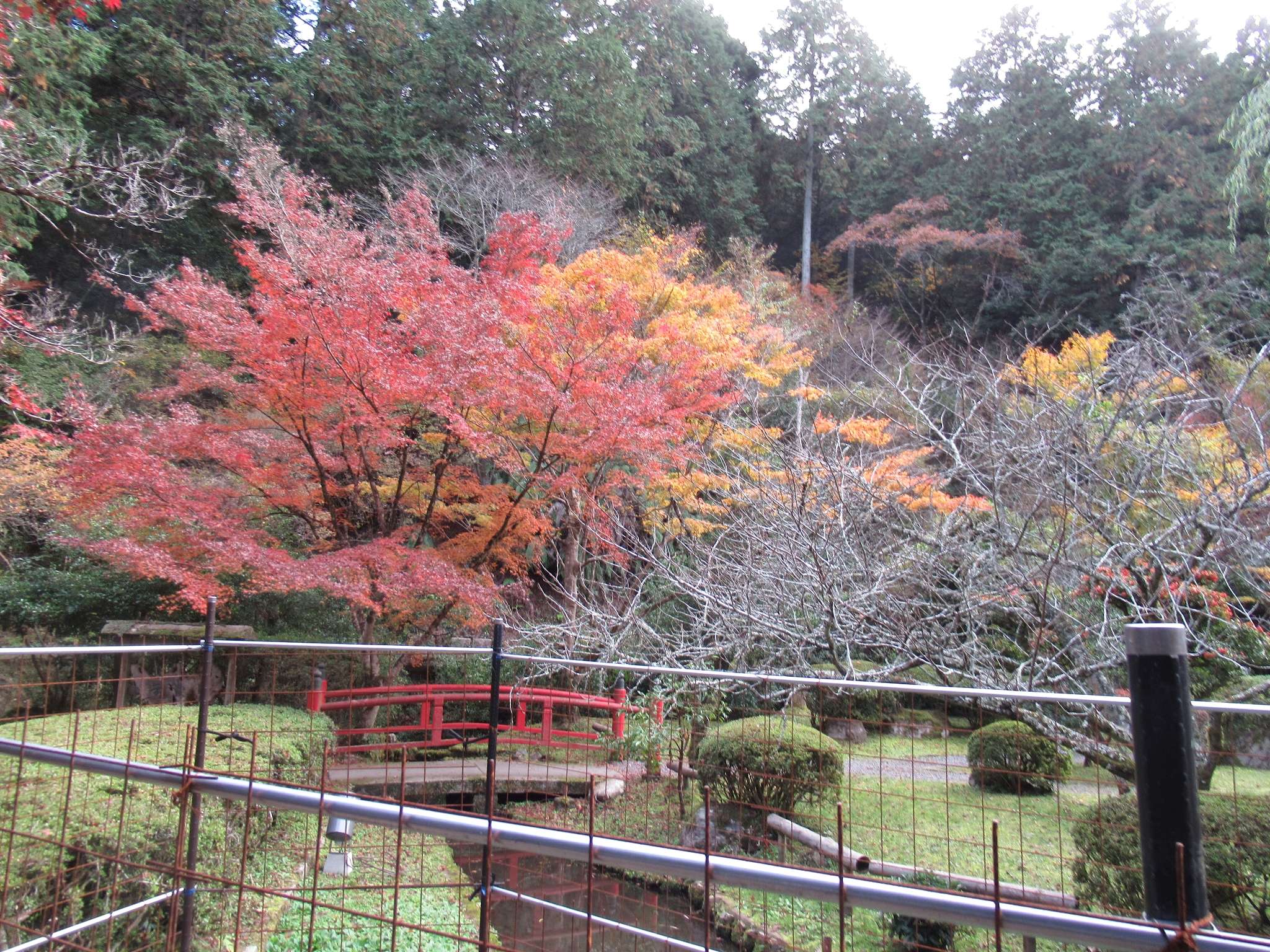 紅葉@石山寺