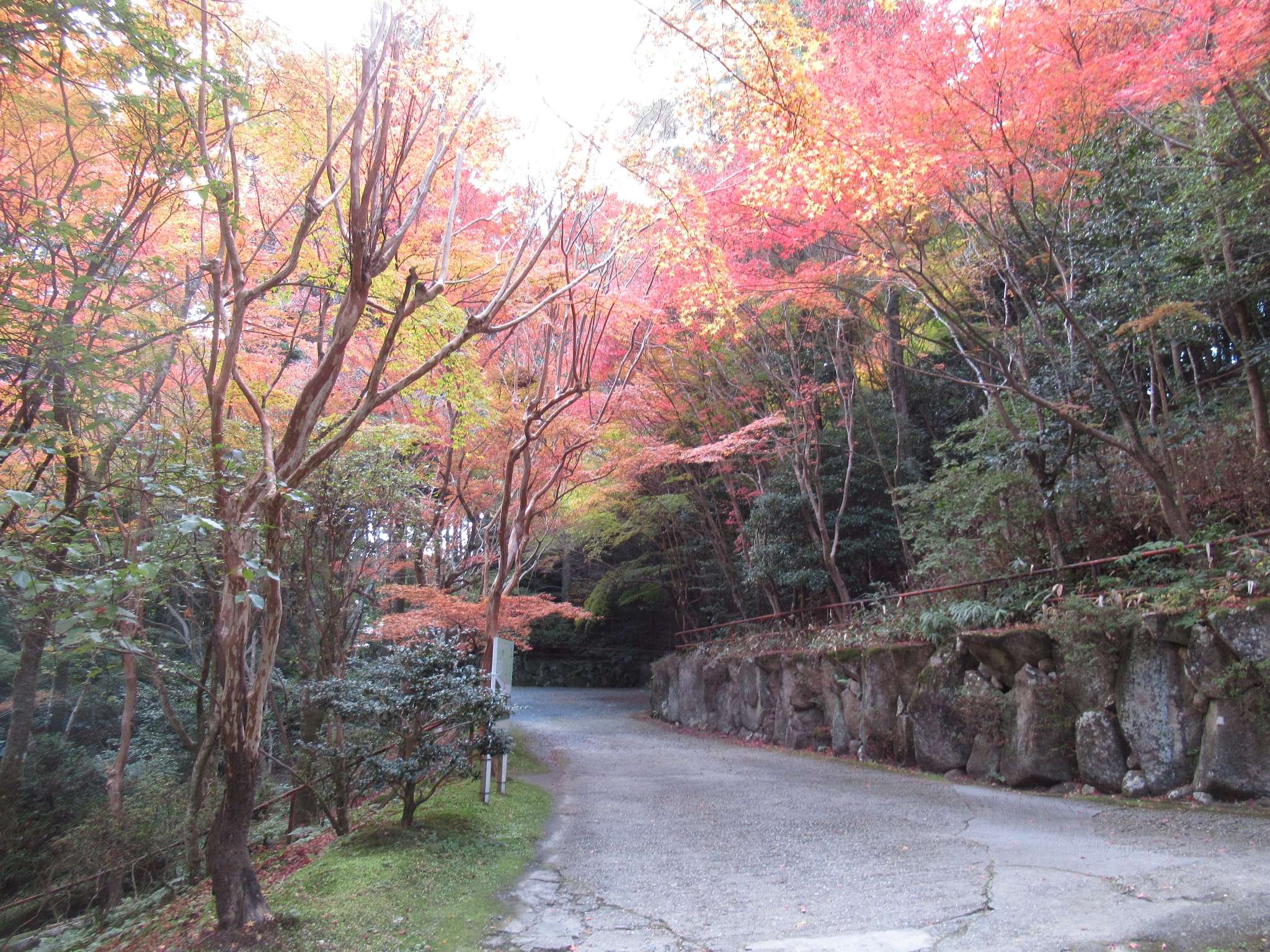 紅葉@石山寺