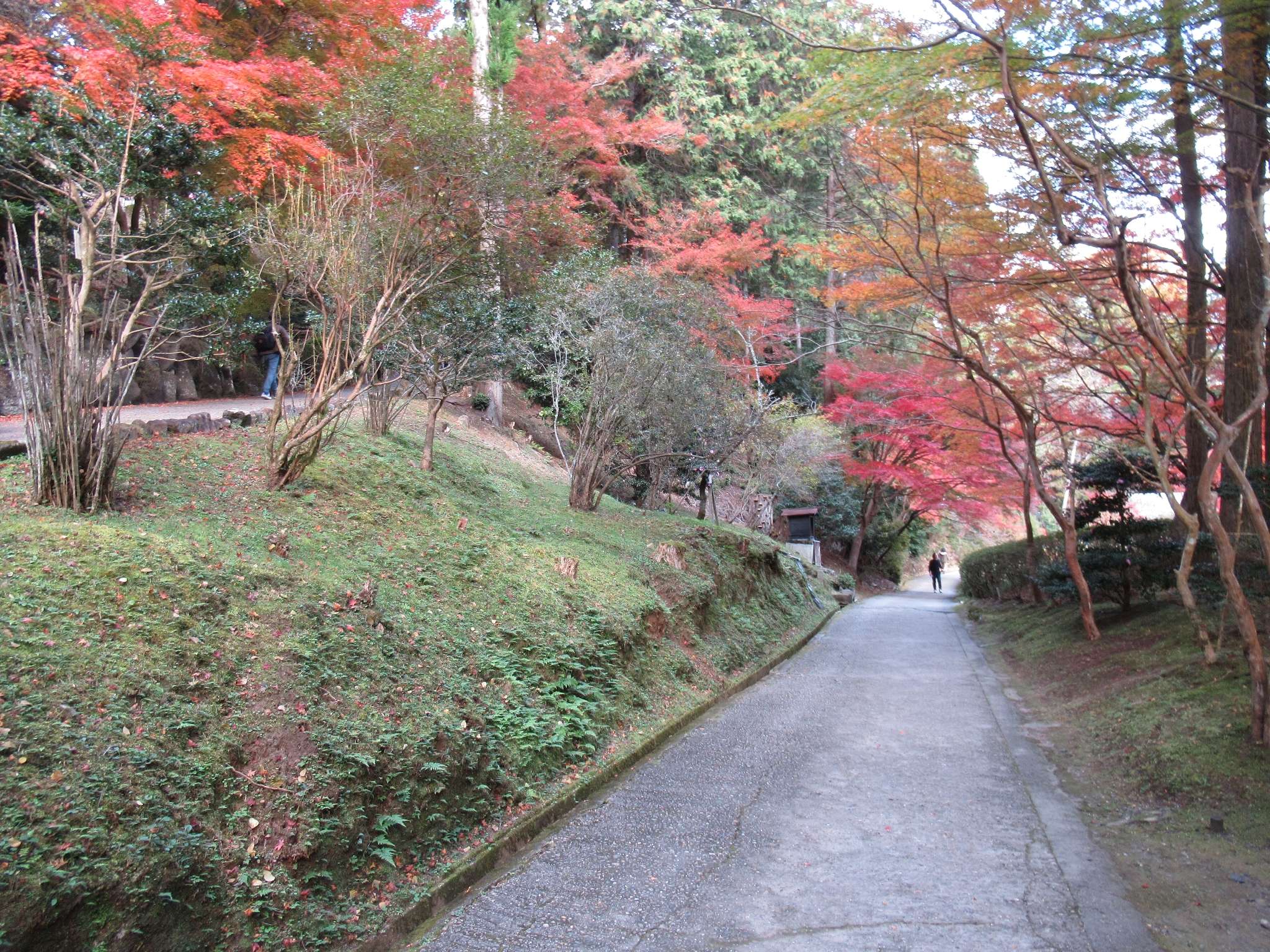 紅葉@石山寺
