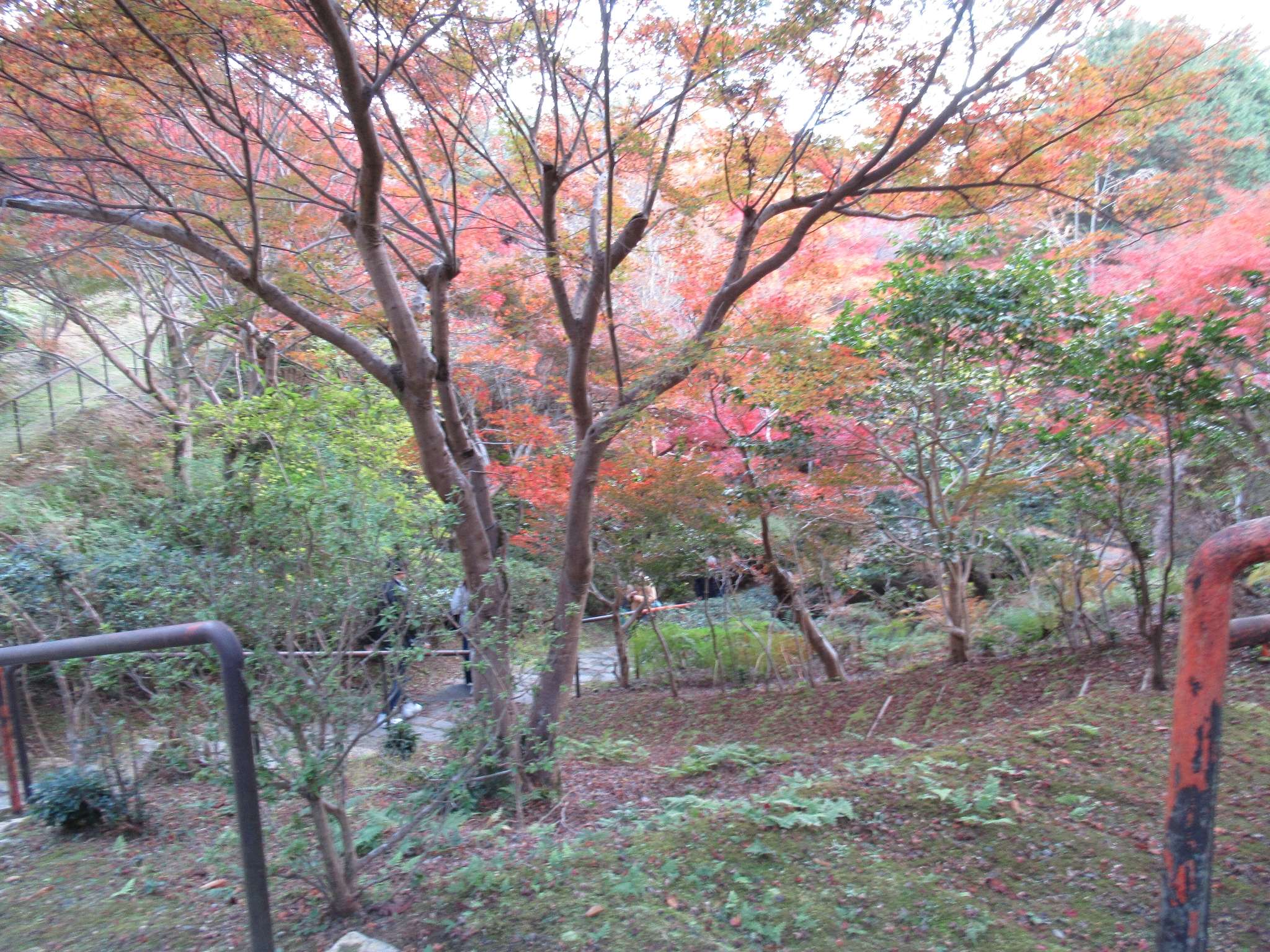 紅葉@石山寺