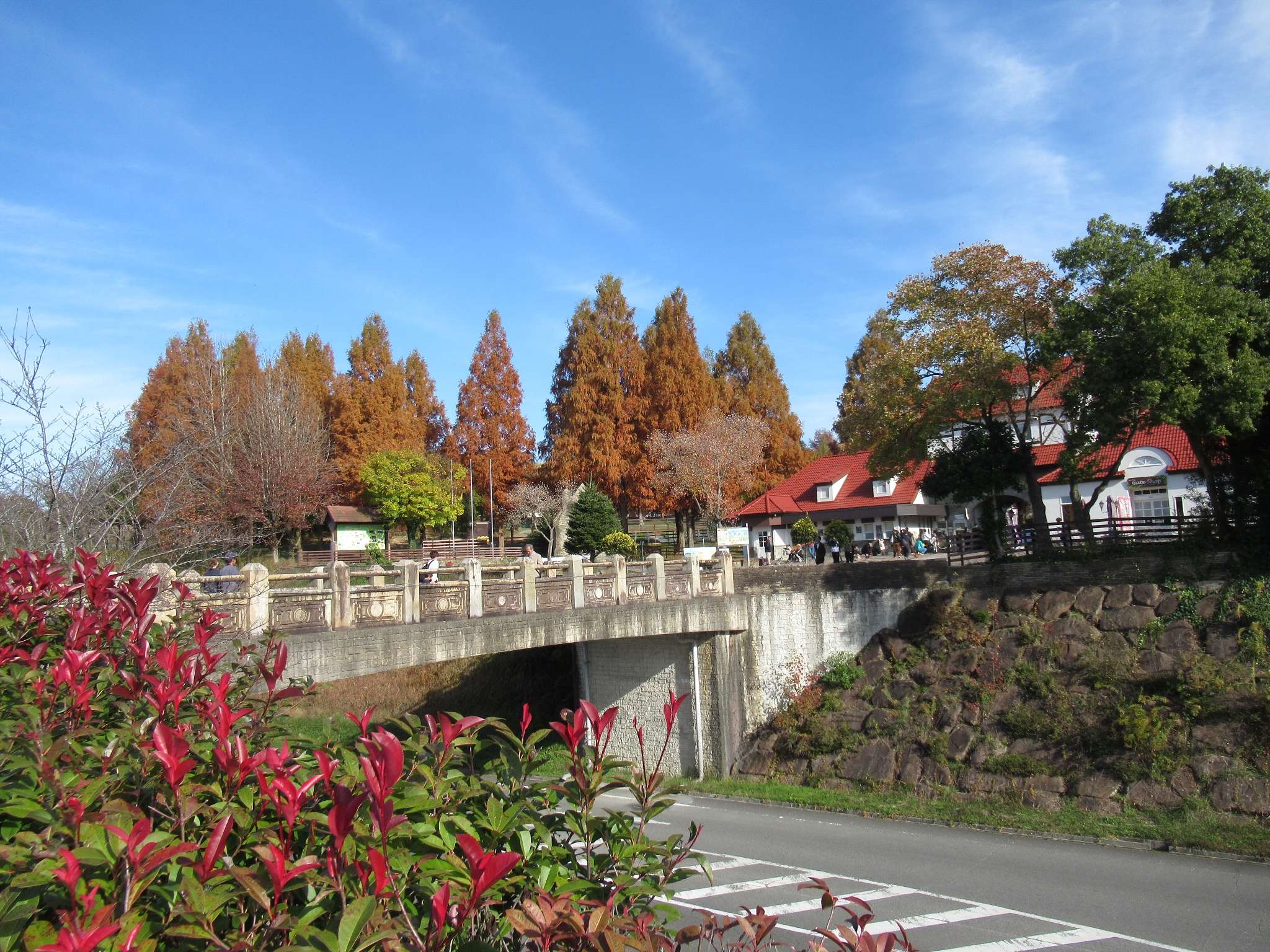 入場ゲート@ブルーメの丘