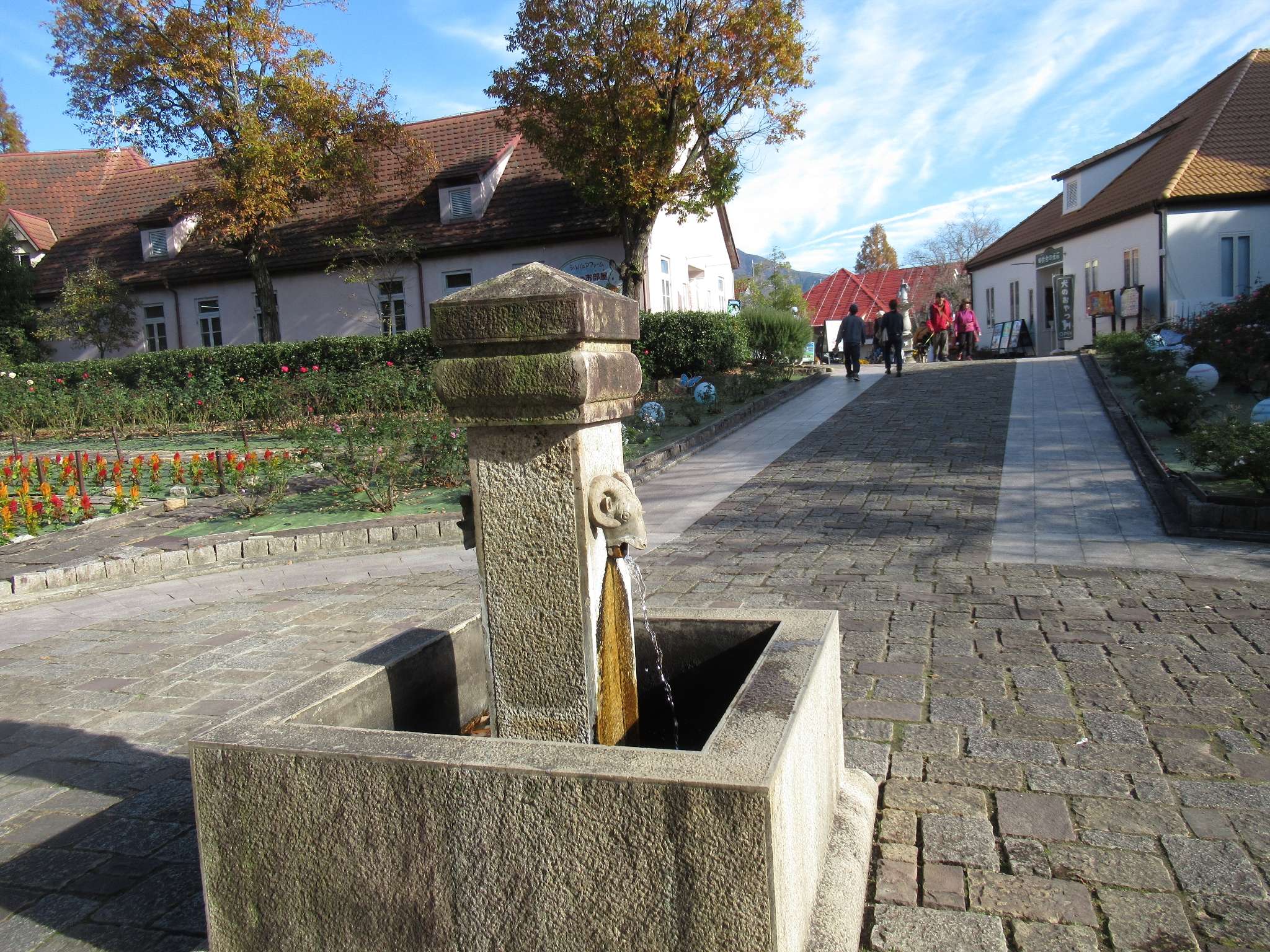 滋賀農業公園ブルーメの丘(日野町)
