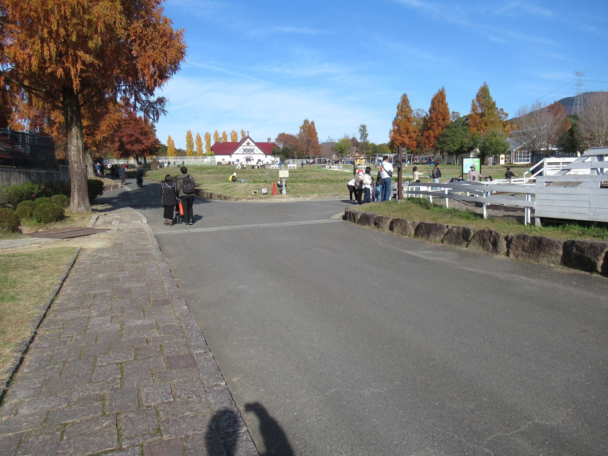 滋賀農業公園ブルーメの丘(日野町)