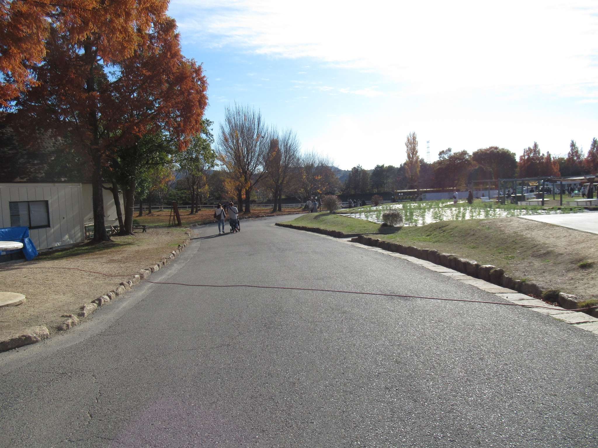 滋賀農業公園ブルーメの丘(日野町)