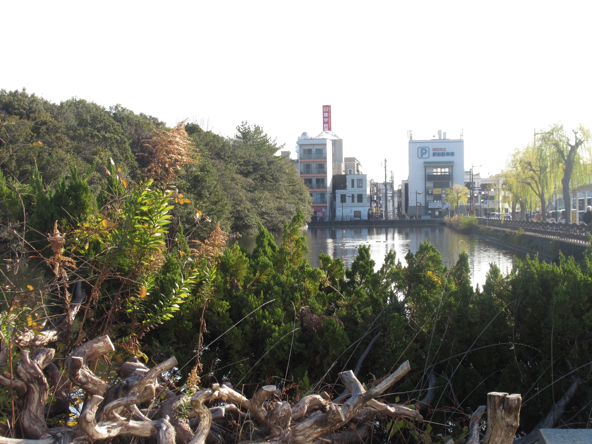 明石公園(明石市)