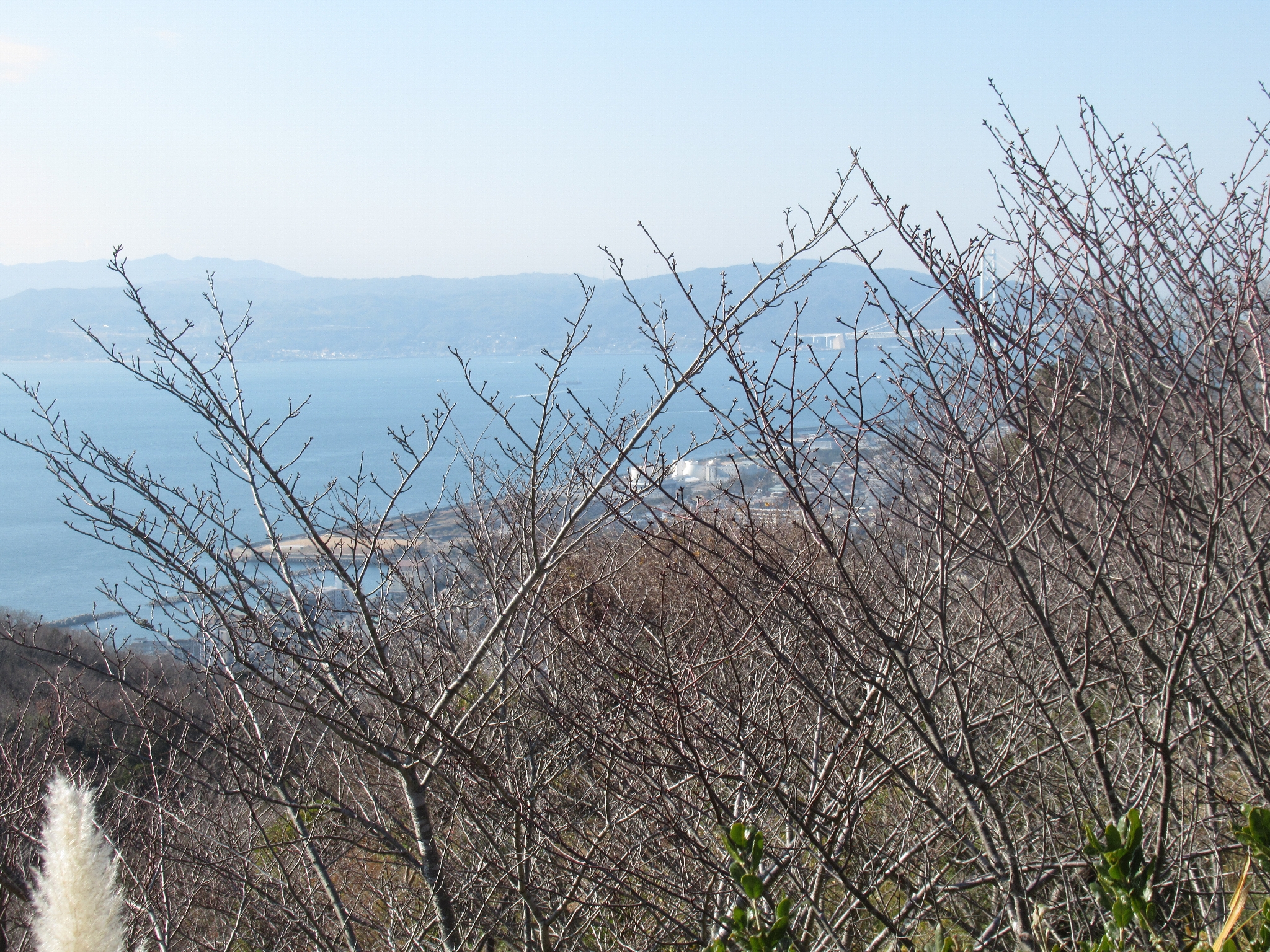 観光リフト(須磨浦山上遊園)