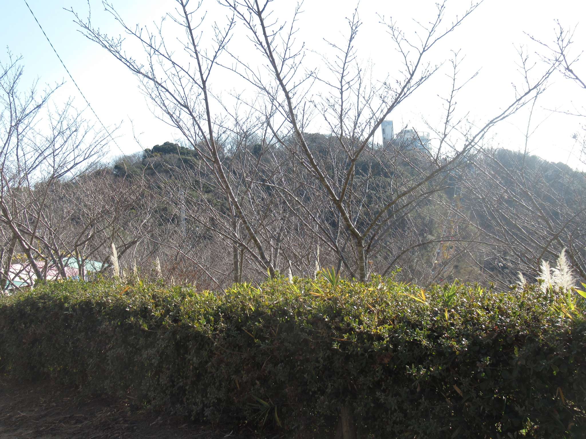 観光リフト(須磨浦山上遊園)