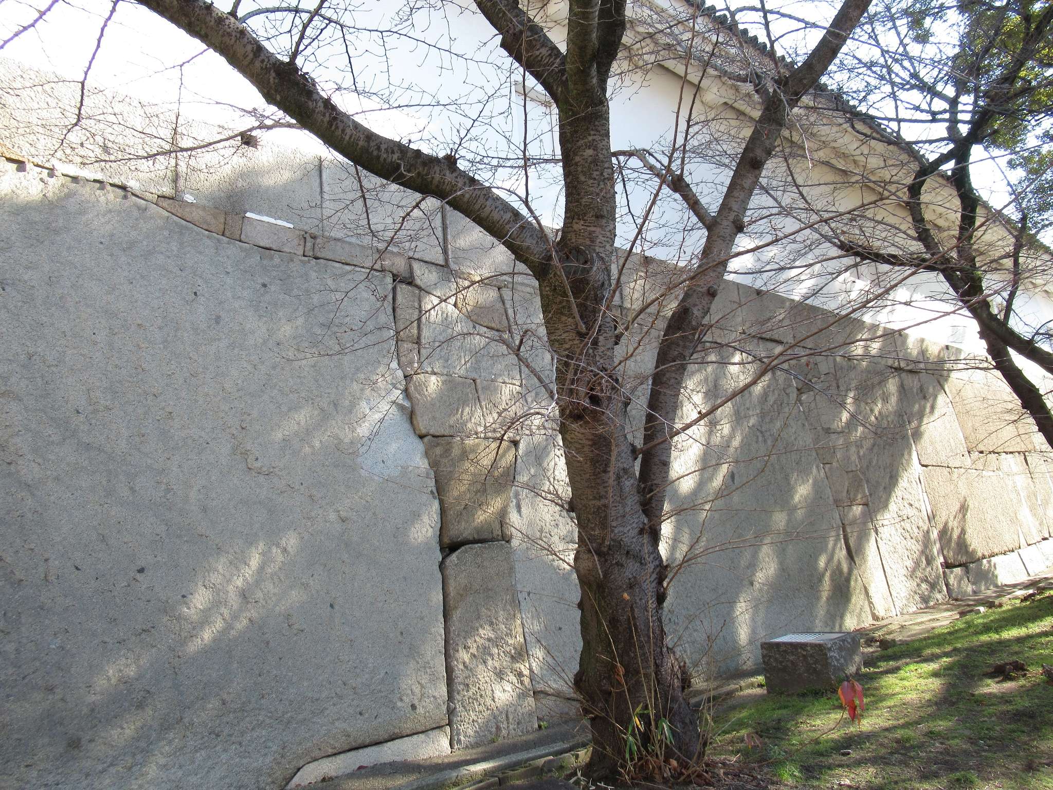 多聞櫓(大阪城公園)