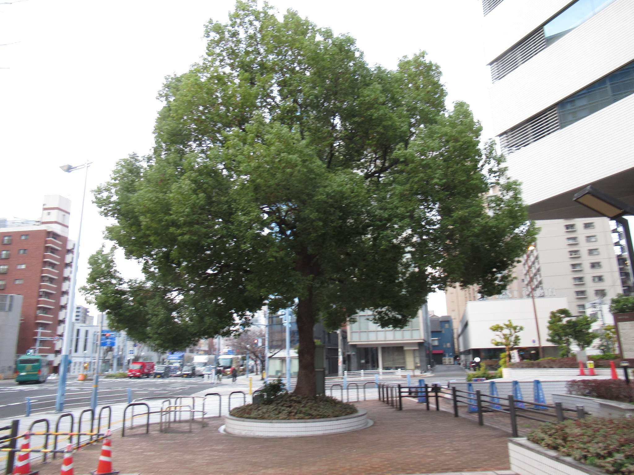 西梅田公園(大阪市)