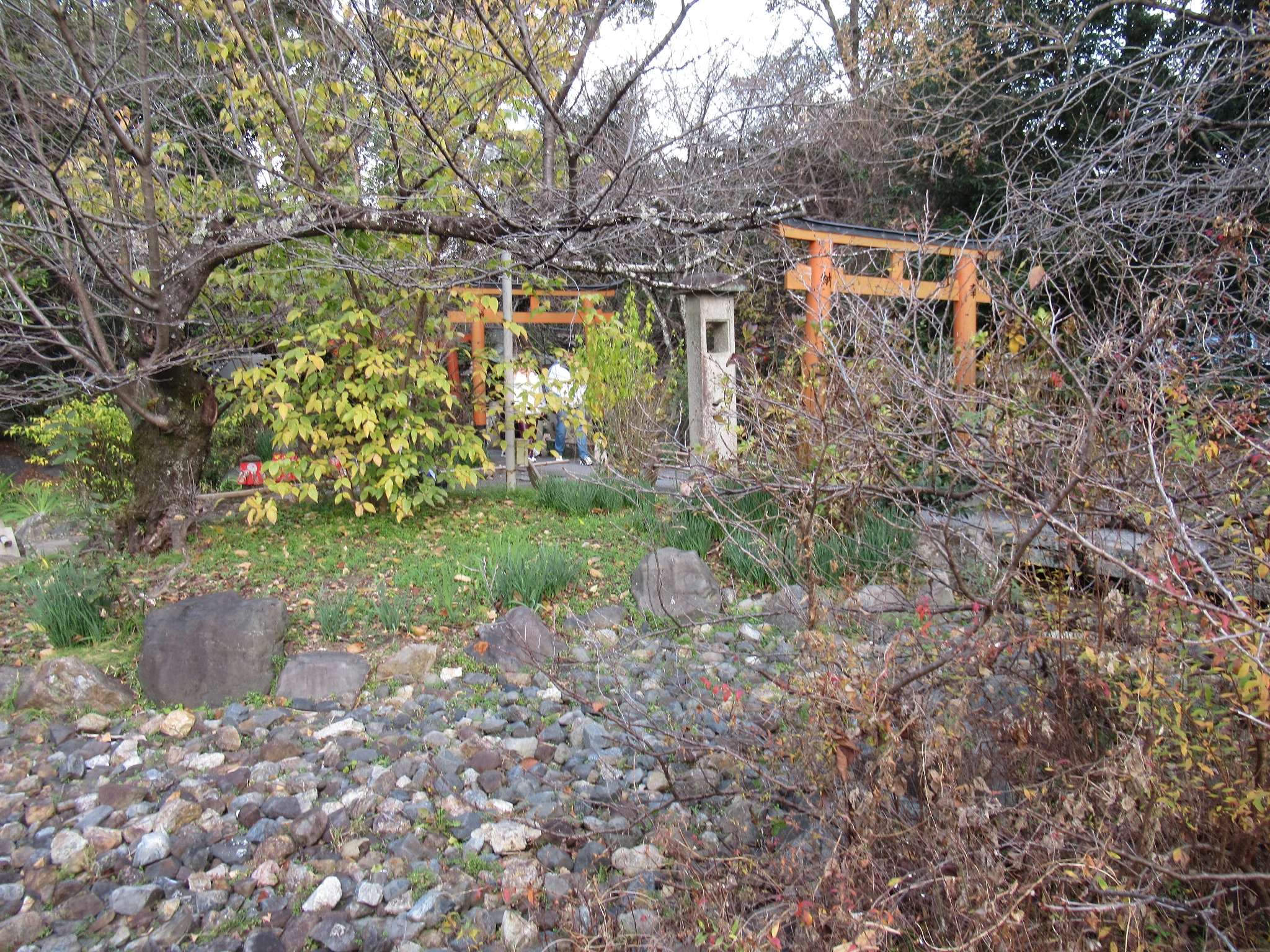 平野神社(京都市)