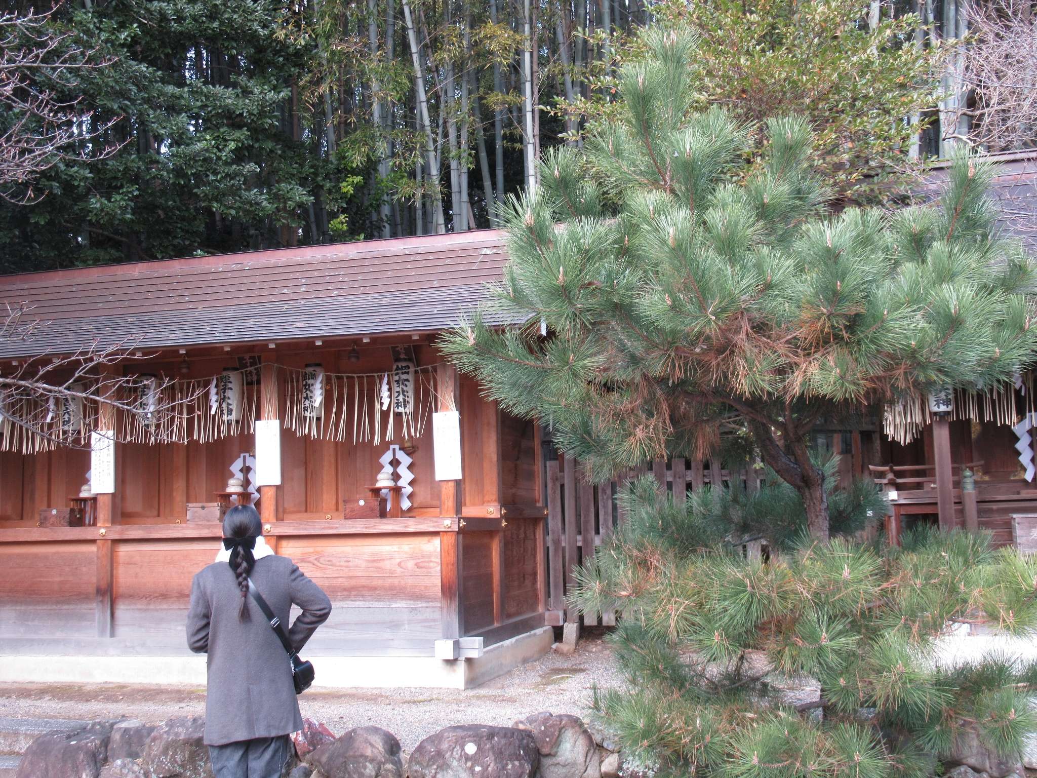 平野神社(京都市)