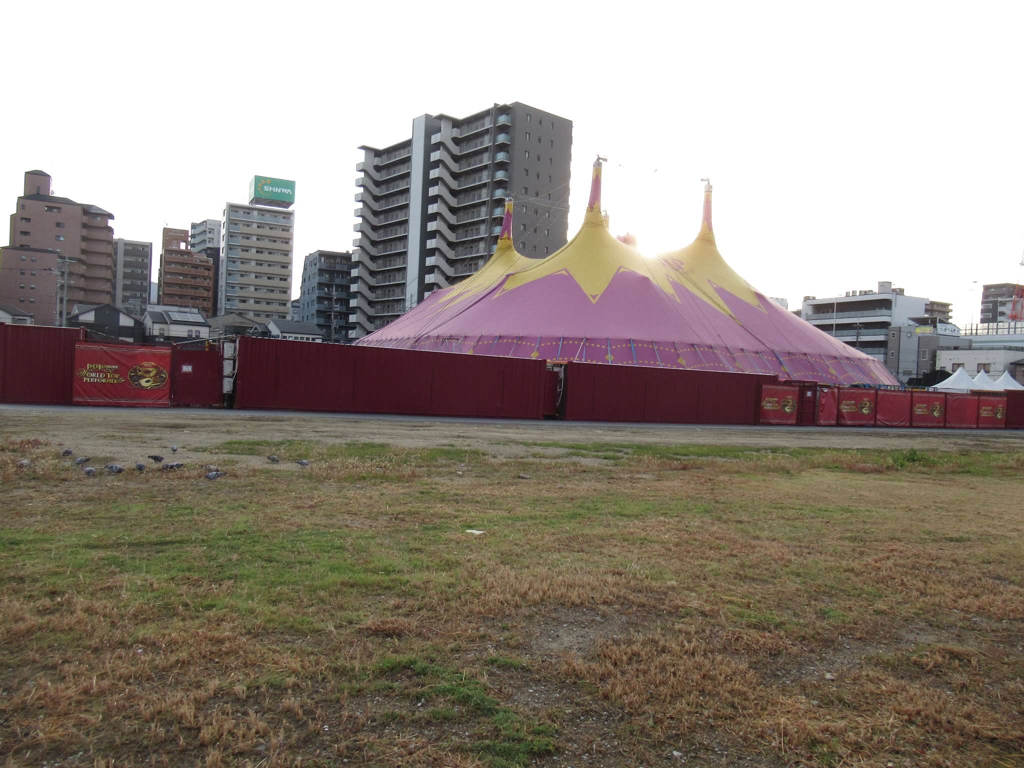 ポップサーカス(東大阪市)