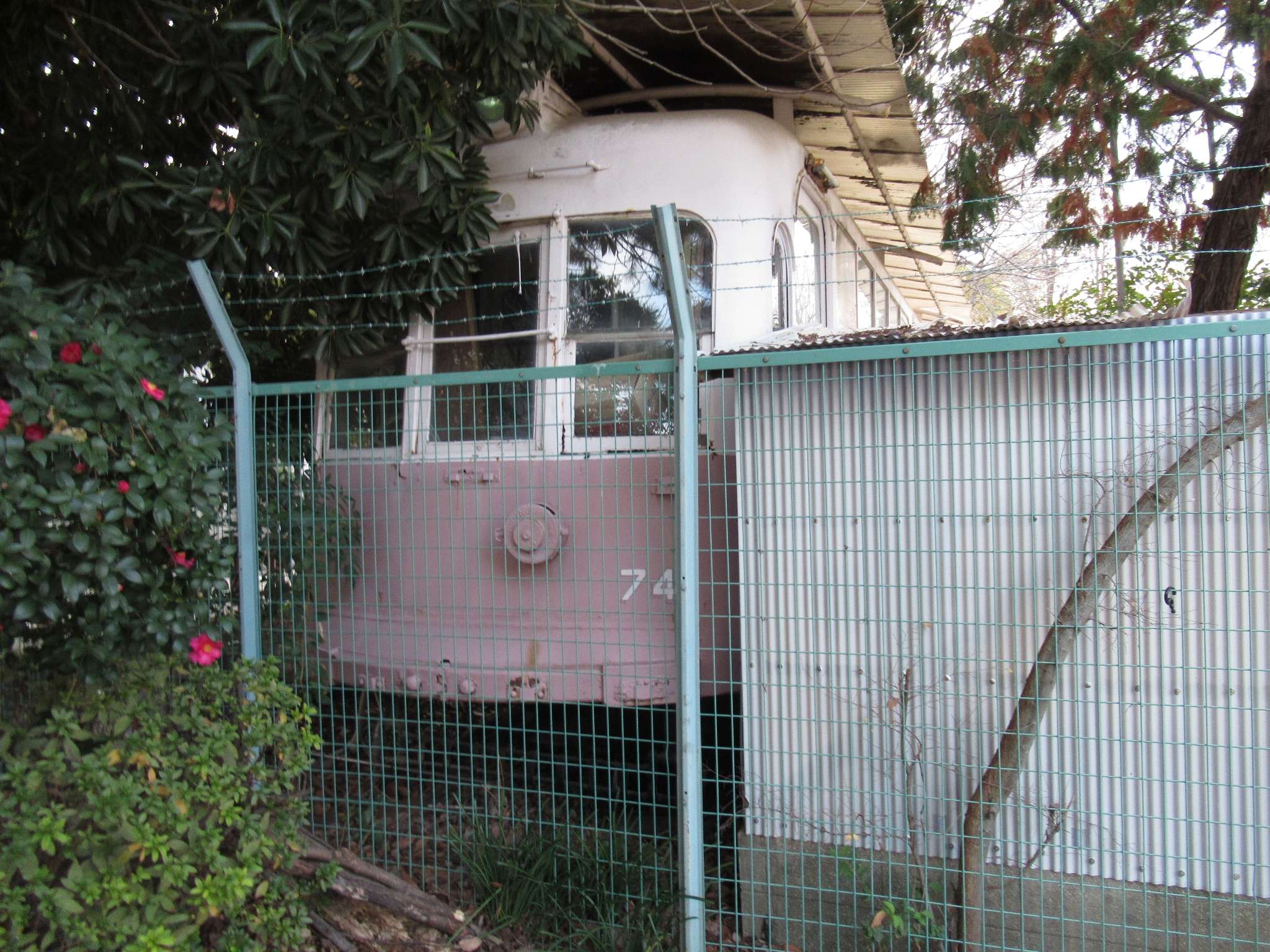 阪神国道線74号@蓬川公園