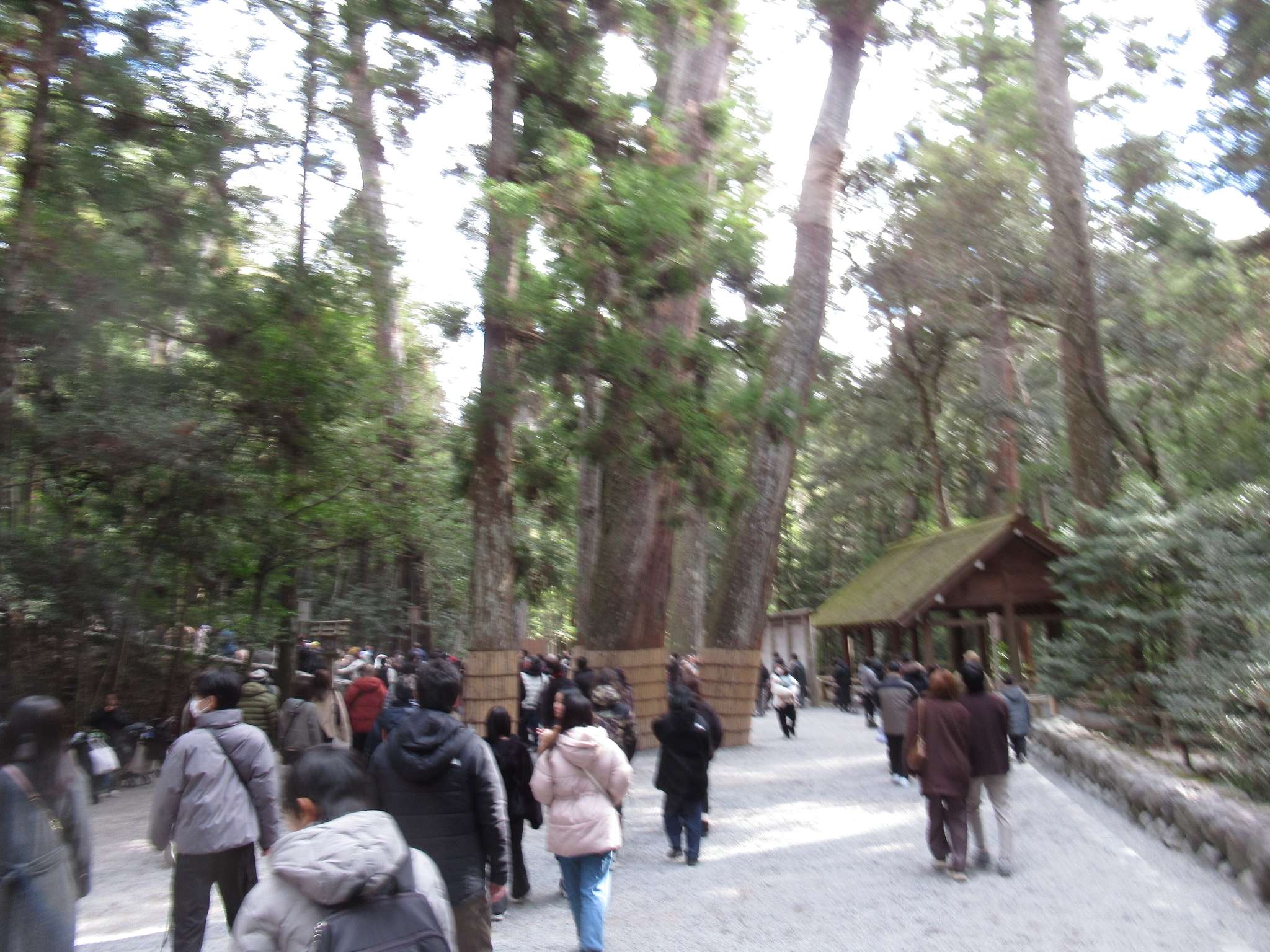 伊勢神宮内宮(伊勢市)