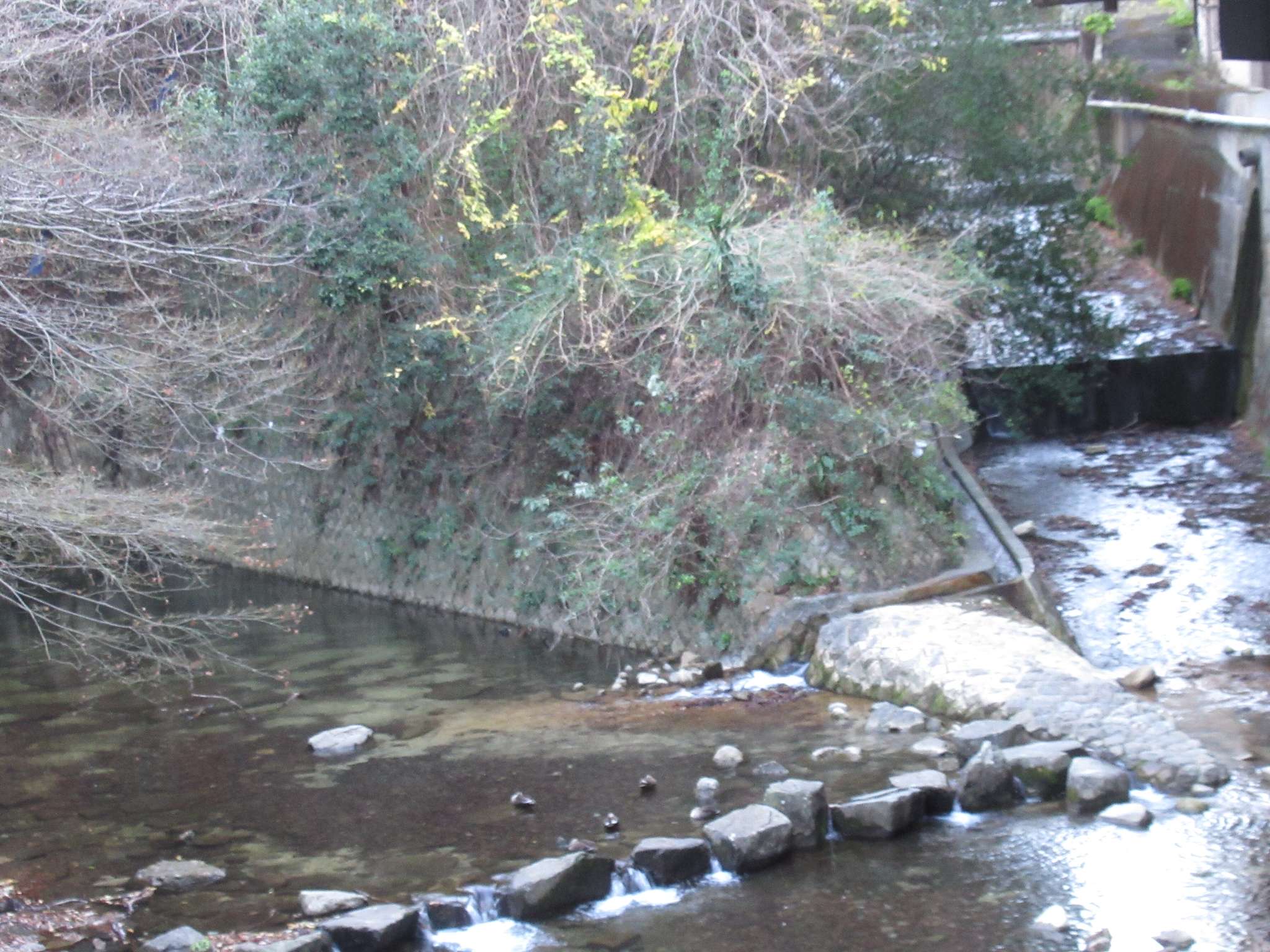河川広場@新神戸駅