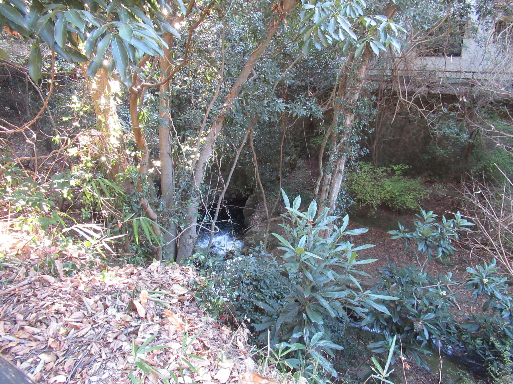 砂子橋@新神戸駅