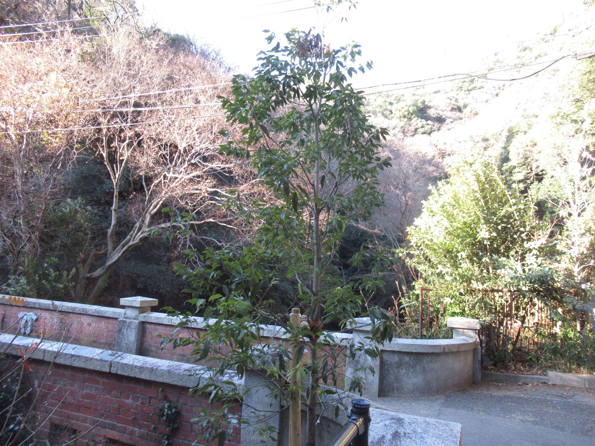砂子橋@新神戸駅