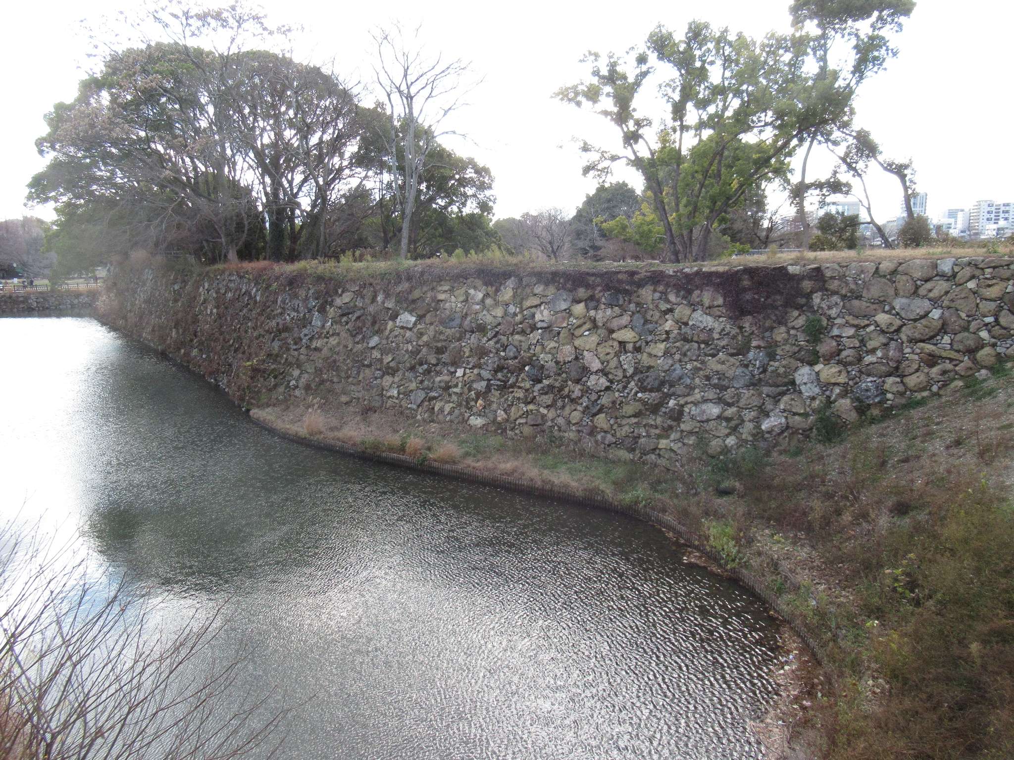 姫路城(姫路市)