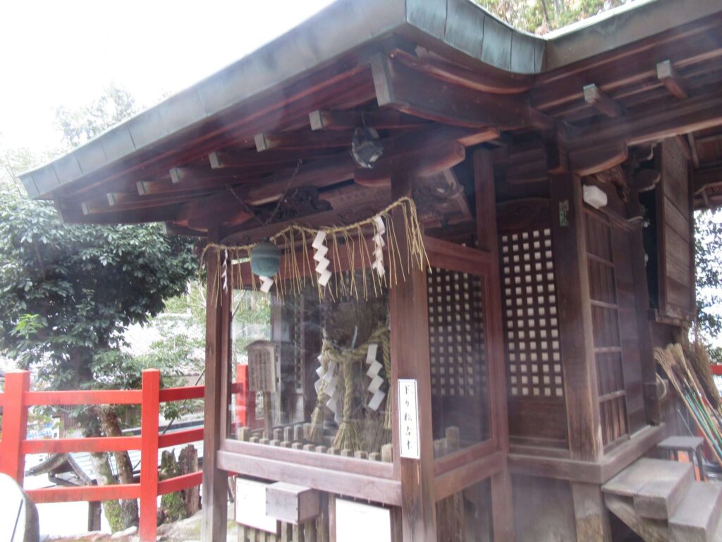 下り松古木@八大神社